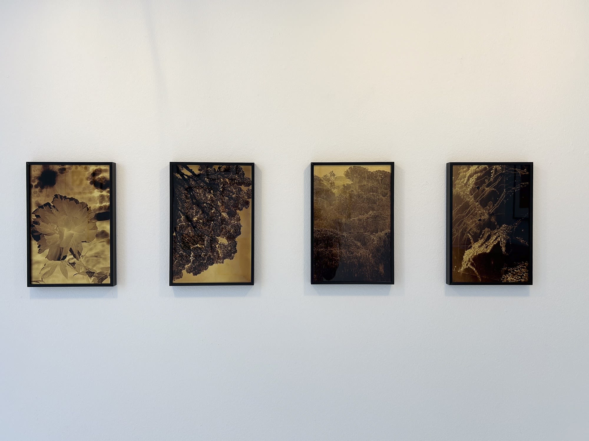 BLOOMING – THE ARTIST ARNE QUINZE IN DIALOGUE WITH 12 PHOTOGRAPHERS