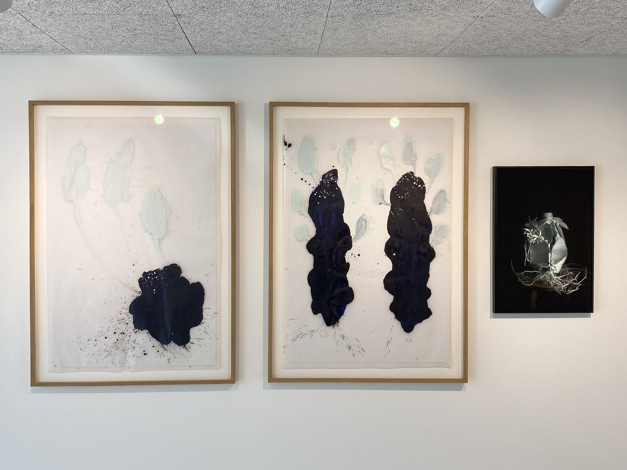 BLOOMING – THE ARTIST ARNE QUINZE IN DIALOGUE WITH 12 PHOTOGRAPHERS