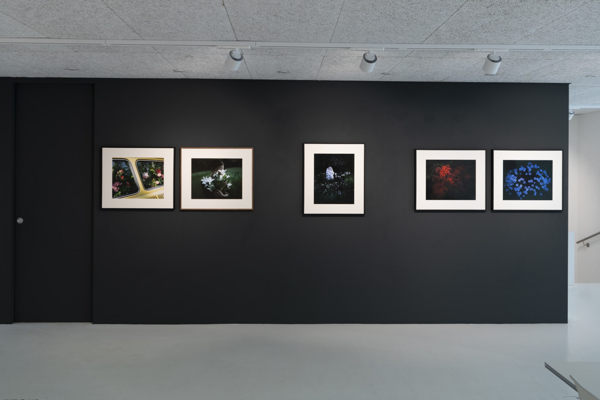 BLOOMING – THE ARTIST ARNE QUINZE IN DIALOGUE WITH 12 PHOTOGRAPHERS