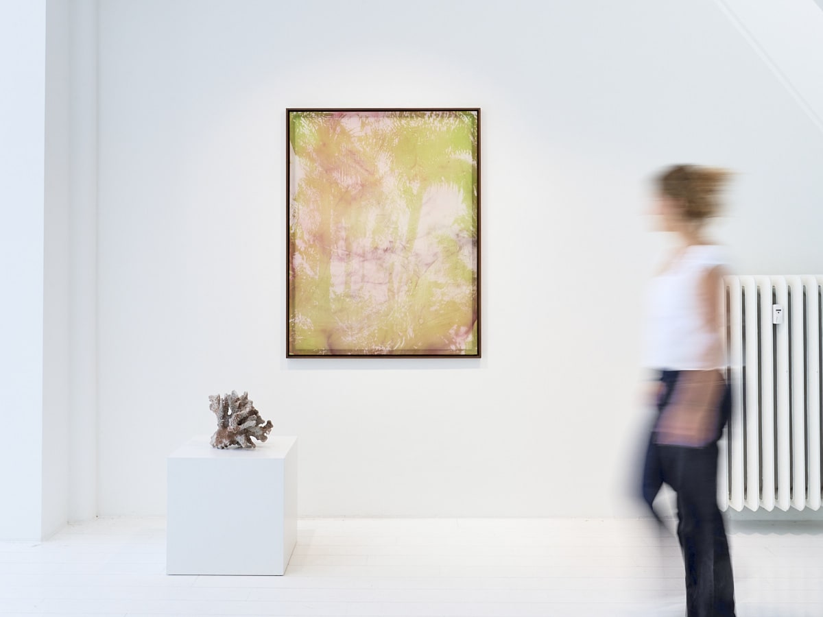 DOUGLAS MANDRY – LES ARCHIVES DE LA PLANÈTE