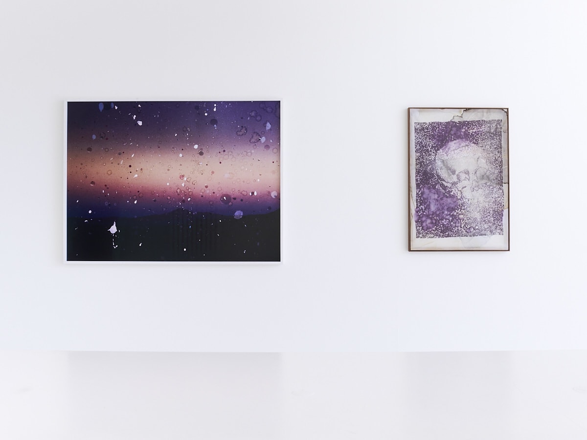 DOUGLAS MANDRY – LES ARCHIVES DE LA PLANÈTE