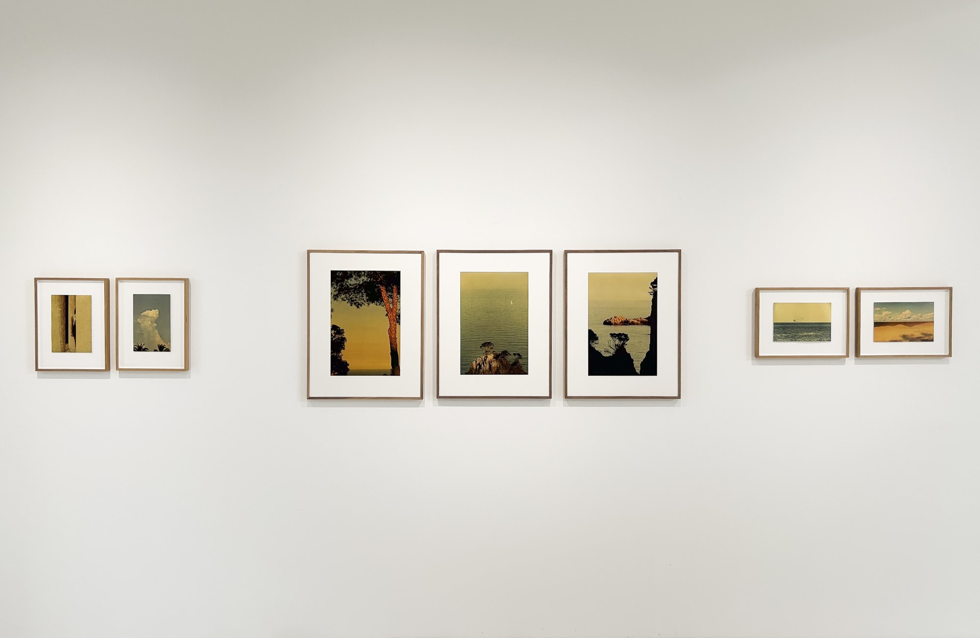 SUMMER EXHIBITION