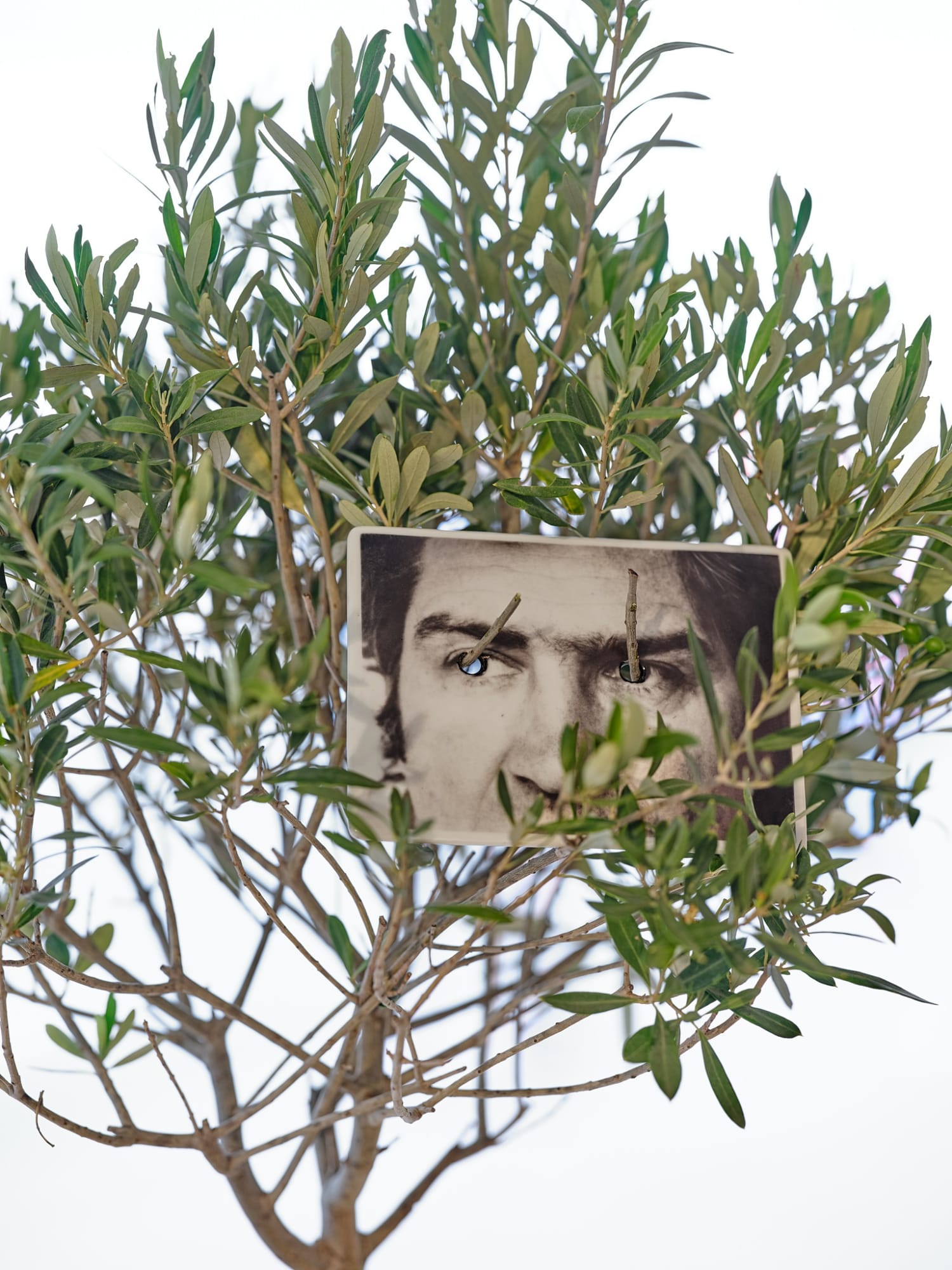 TRA TERRA E CONCETTO