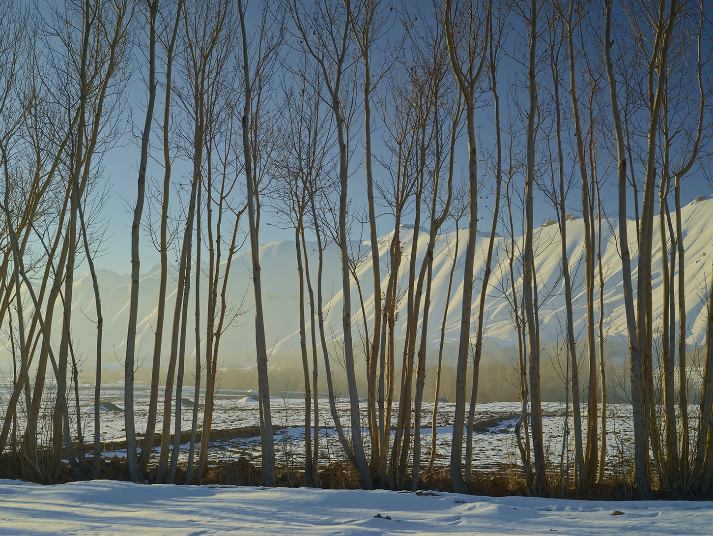 © Simon Norfolk, Time Taken 6, Late Winter