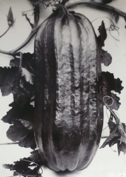 Vegetable Marrow Soup Green, c.1900