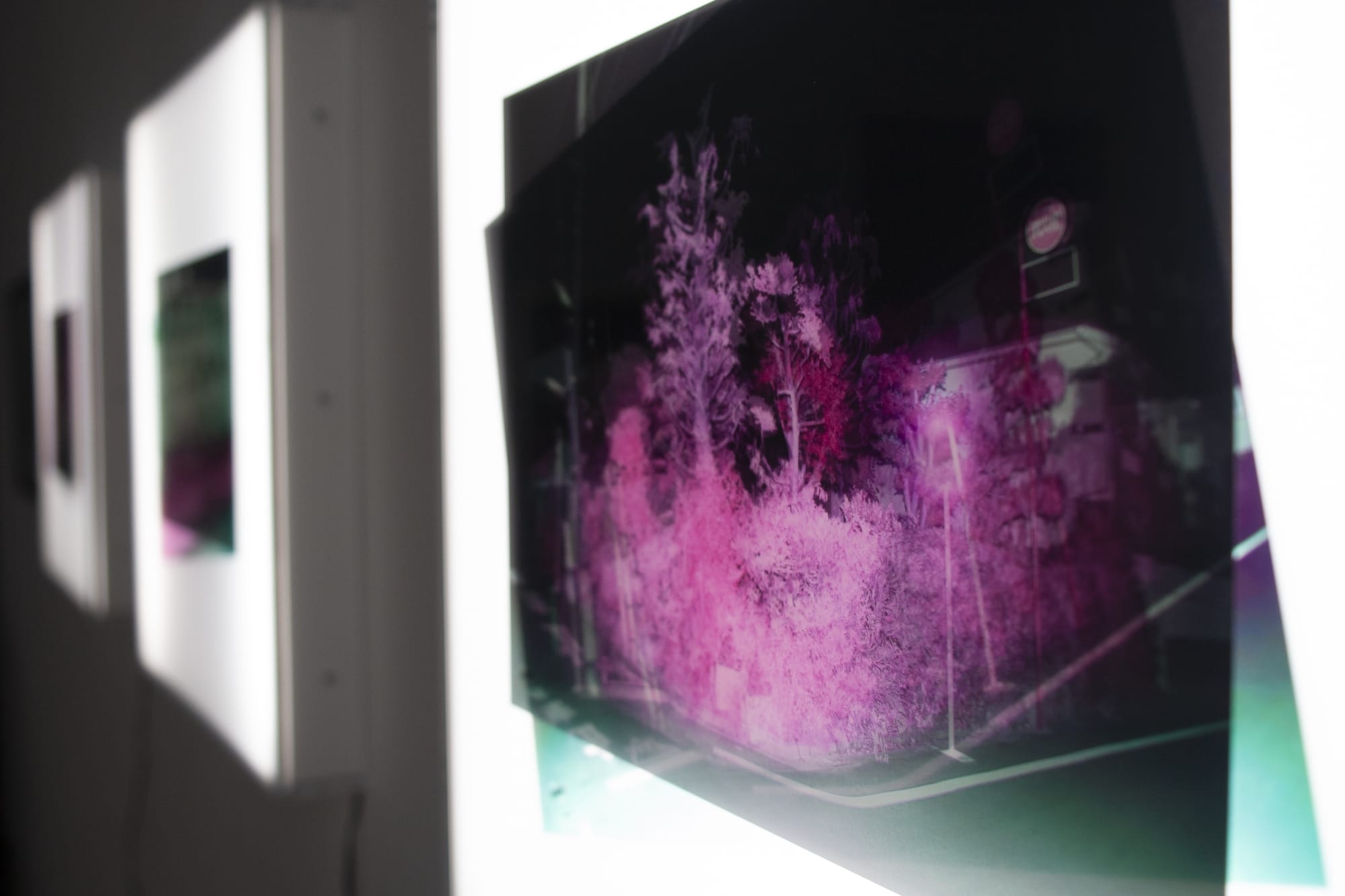 Emerging Contemporaries