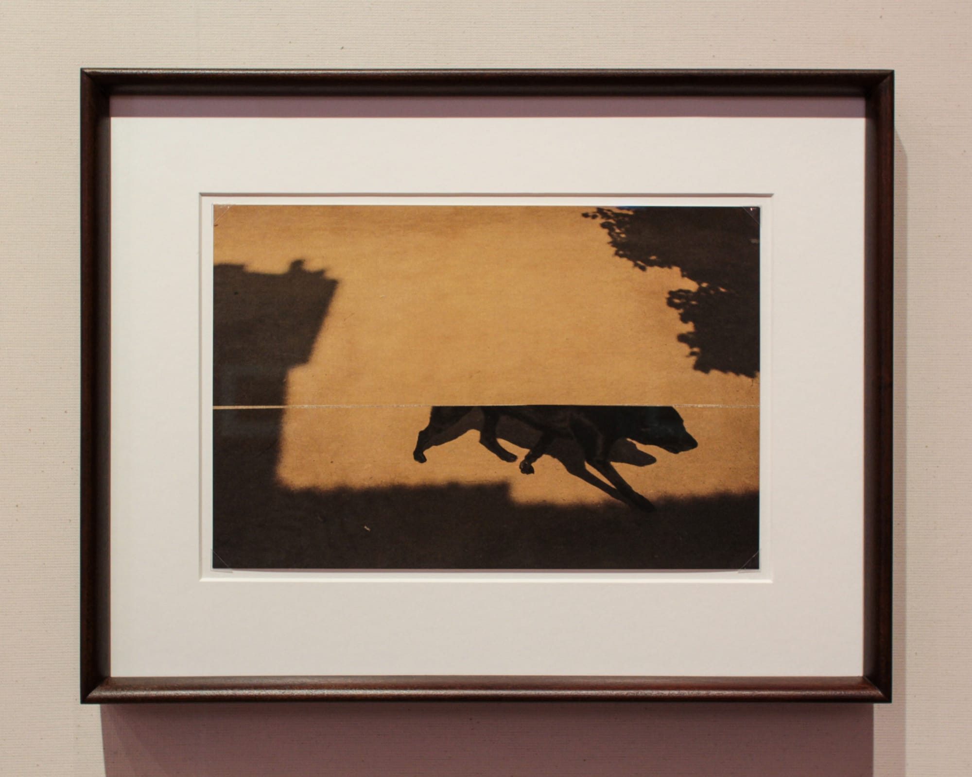 Albarrán Cabrera | A display of works