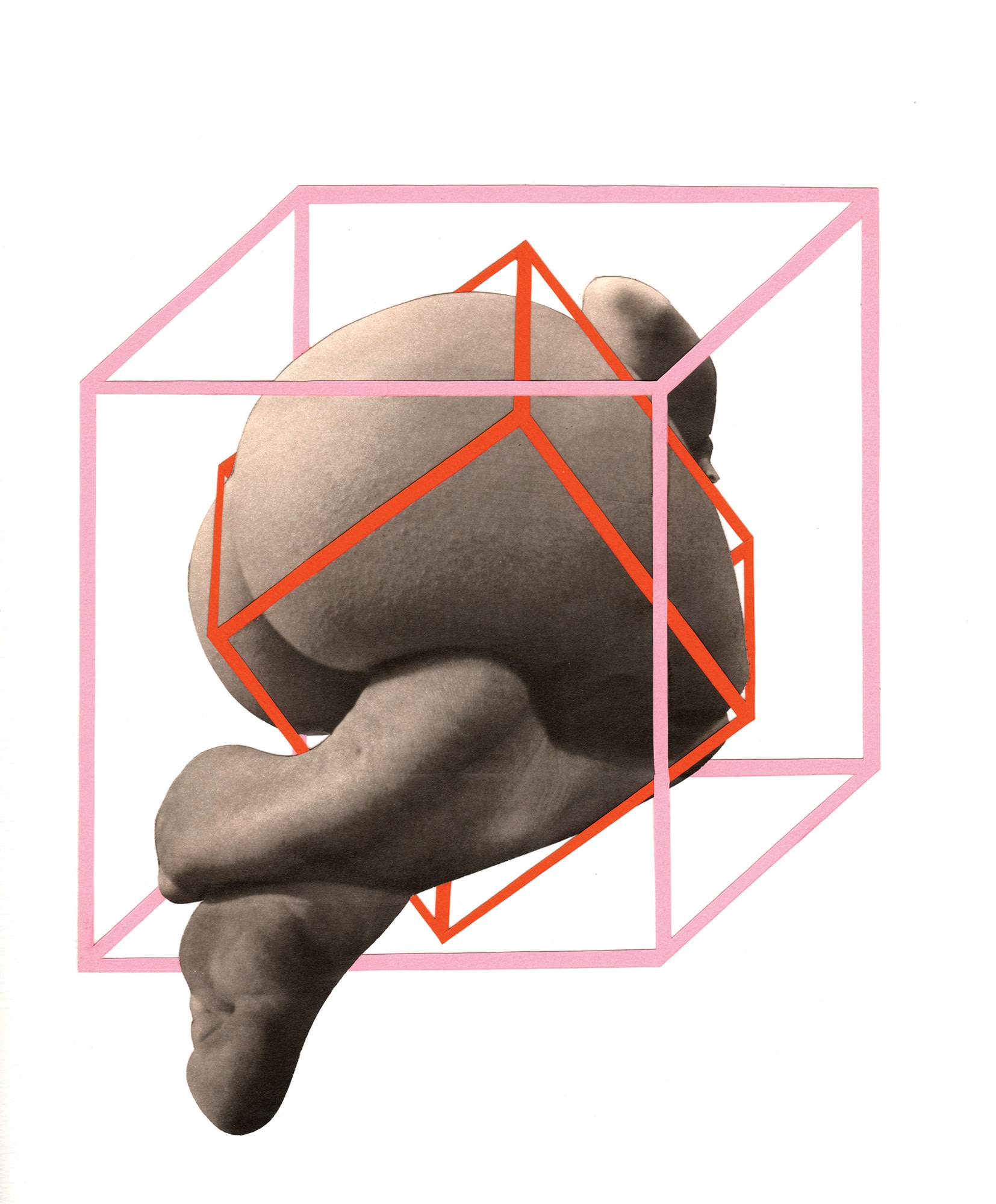 Sammy Slabbinck, Trapped