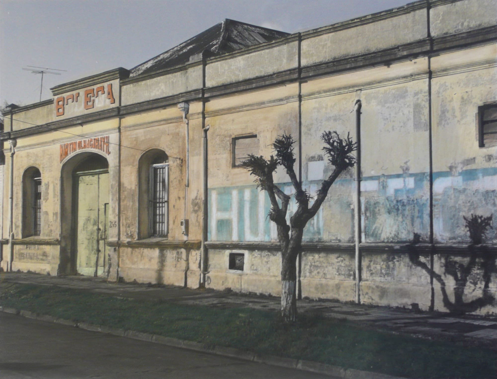 Leonora Vicuña, Bodege Olhagaray, Nueva Imperial, Chile, 2014