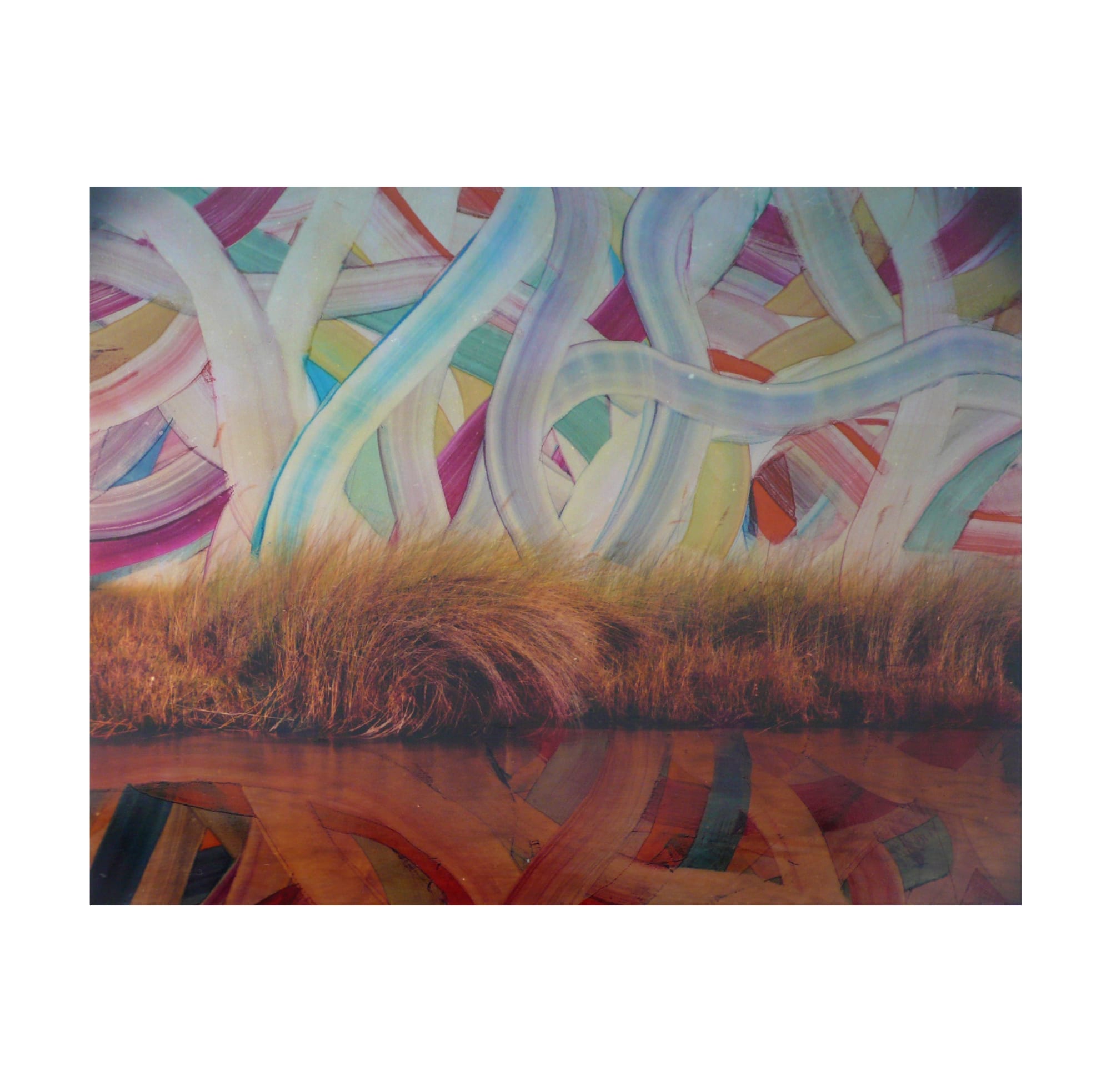 Chloe Sells, Letting Go, 2016