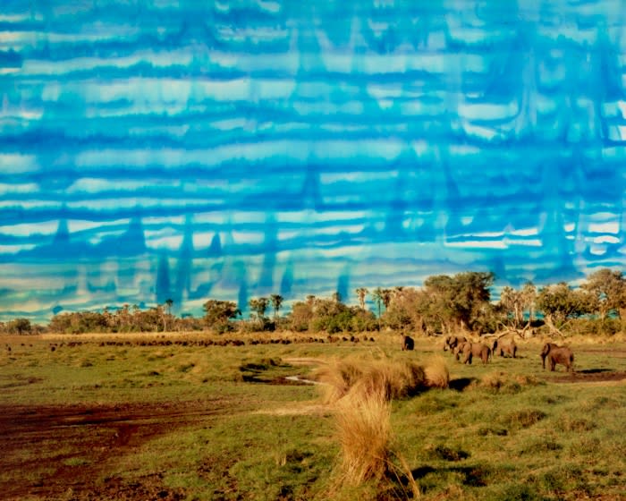 Chloe Sells, Communion , 2016