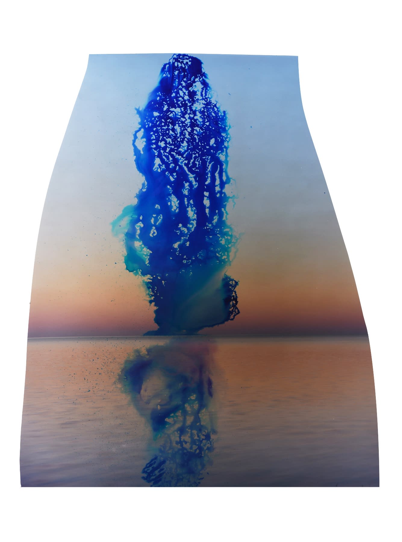 Chloe Sells, PWS, 2016