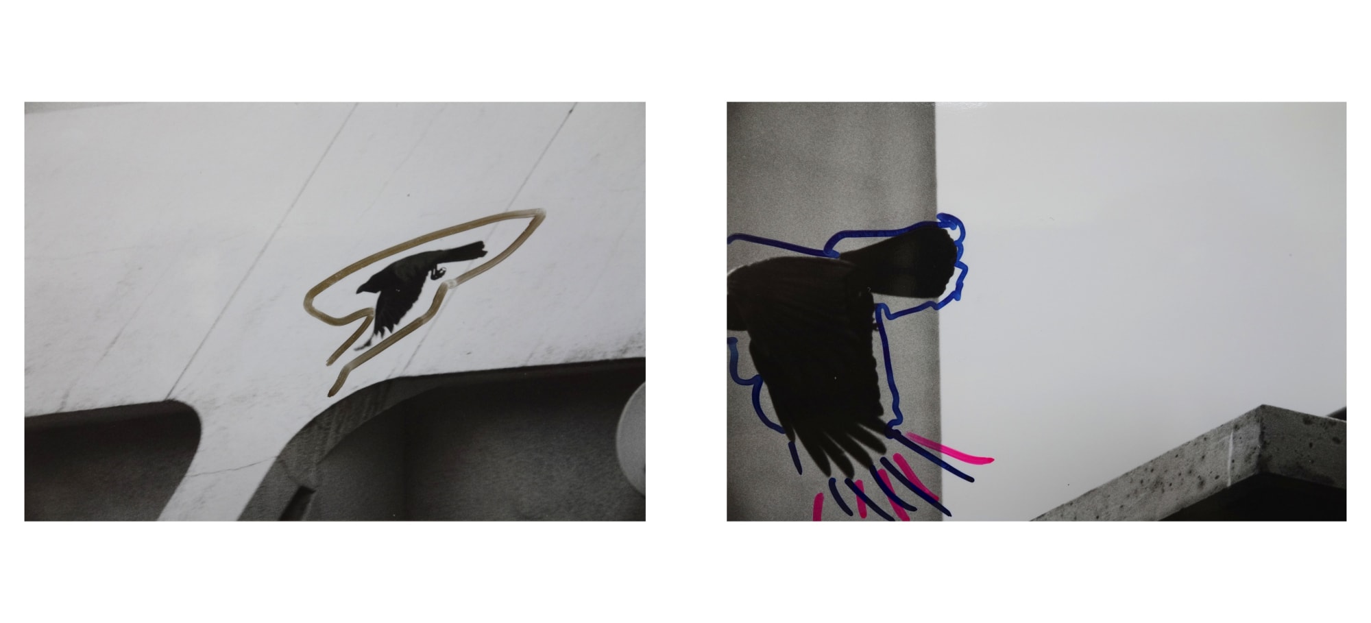 Masahisa Fukase, Ravens '92