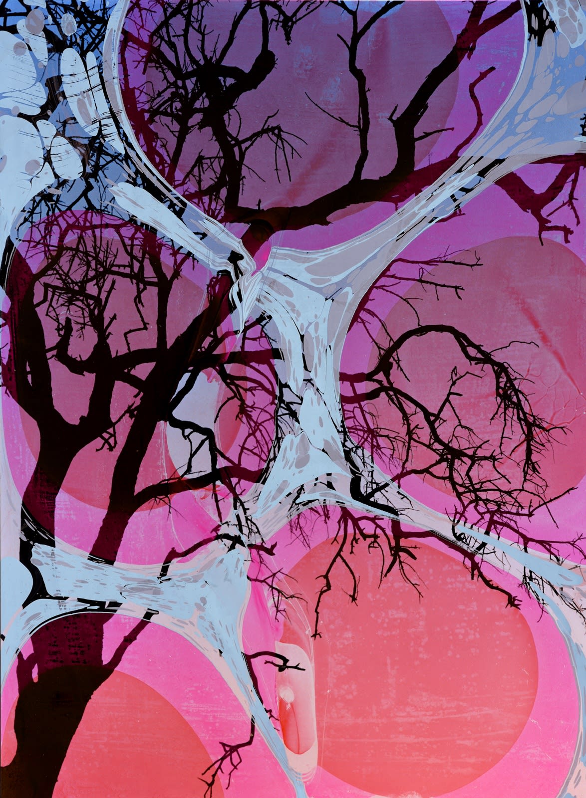 Chloe Sells, Lion, 2018