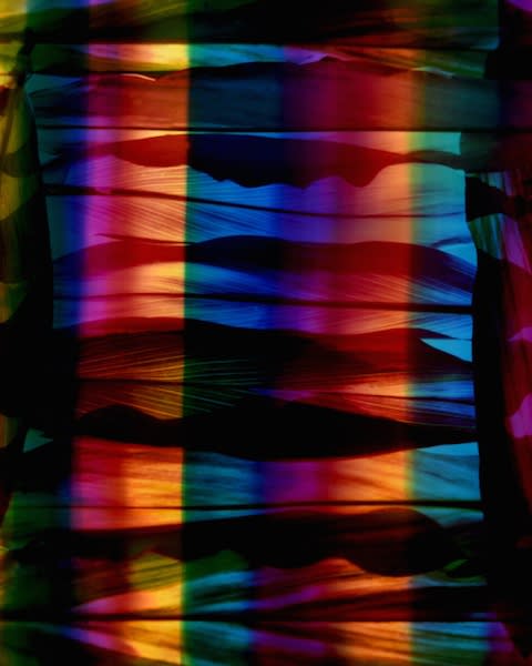 Chloe Sells, Seize The Rainbow, 2016