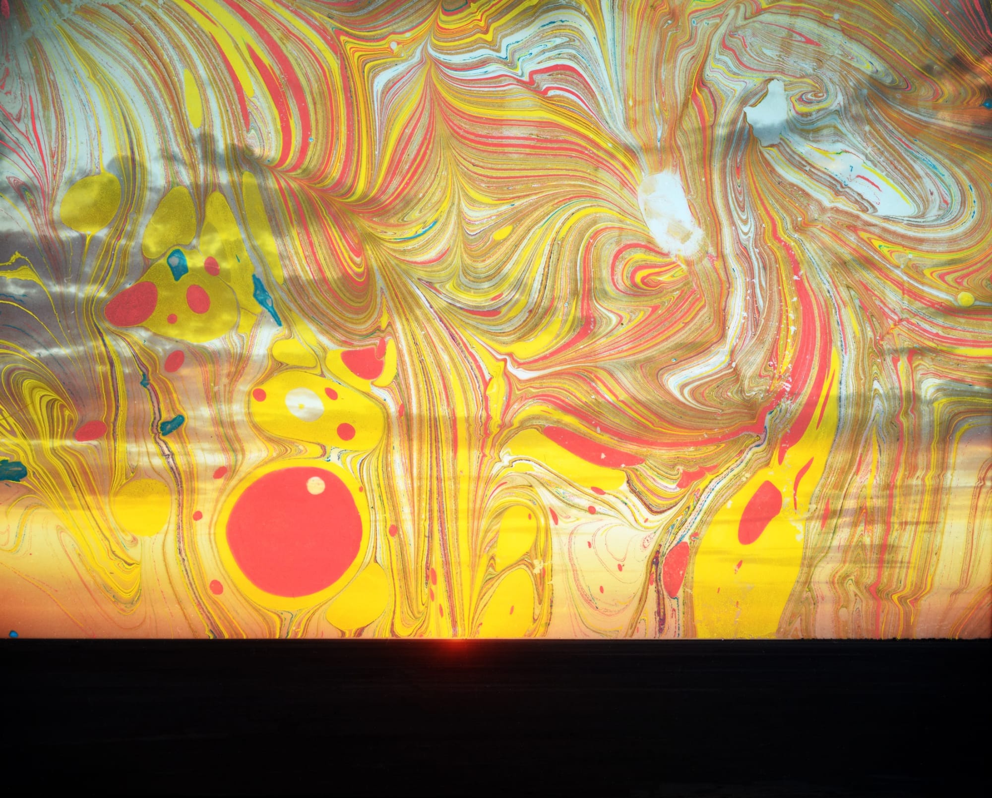 Chloe Sells, Pot Belly Pig, 2018