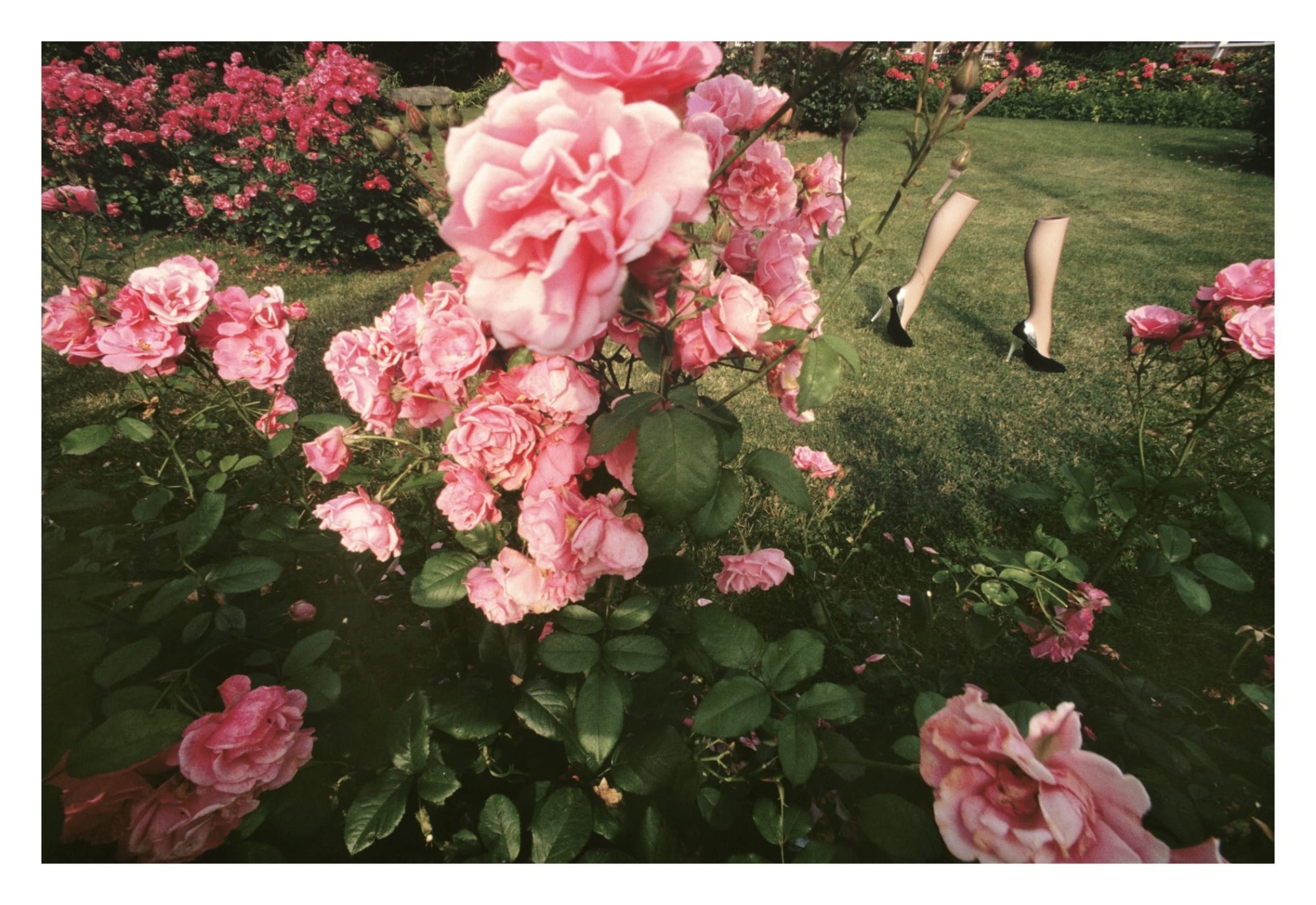 Guy Bourdin, Charles Jordan, Autumn 1979