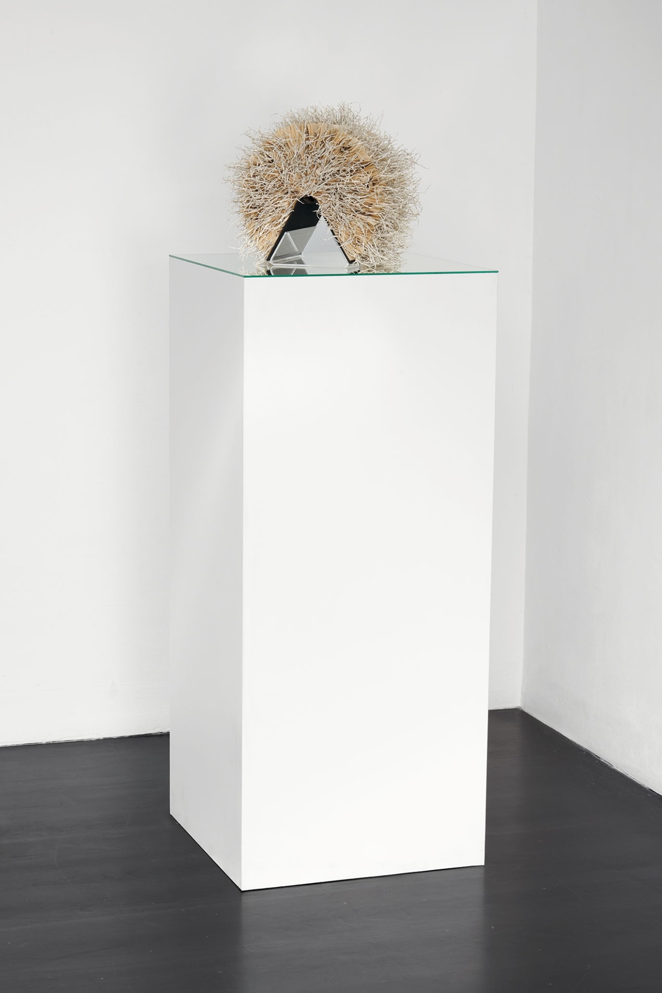 [Cologne] Like a Poem She Never Wrote