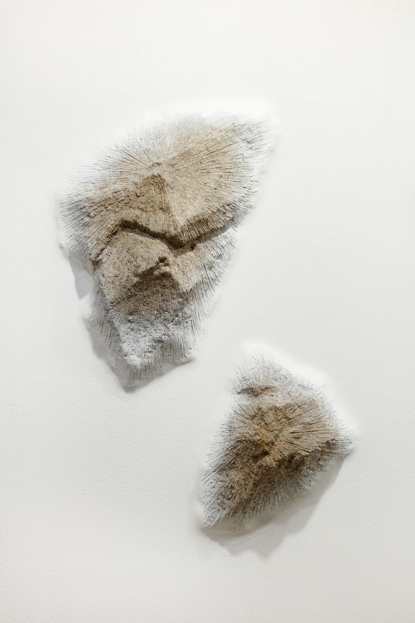 [SEOUL] and time stood still