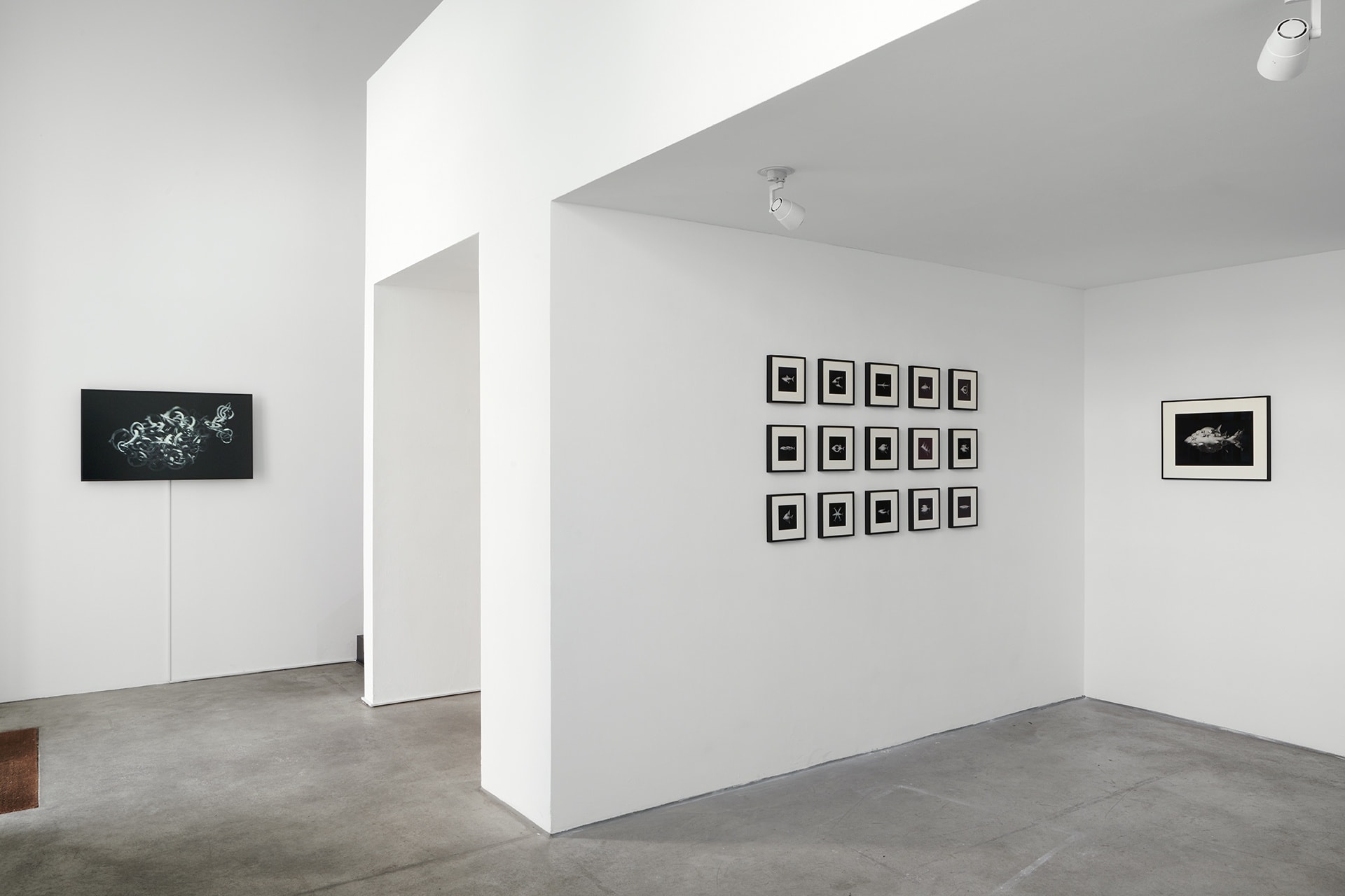 [COLOGNE] SHIFTING MOMENTS