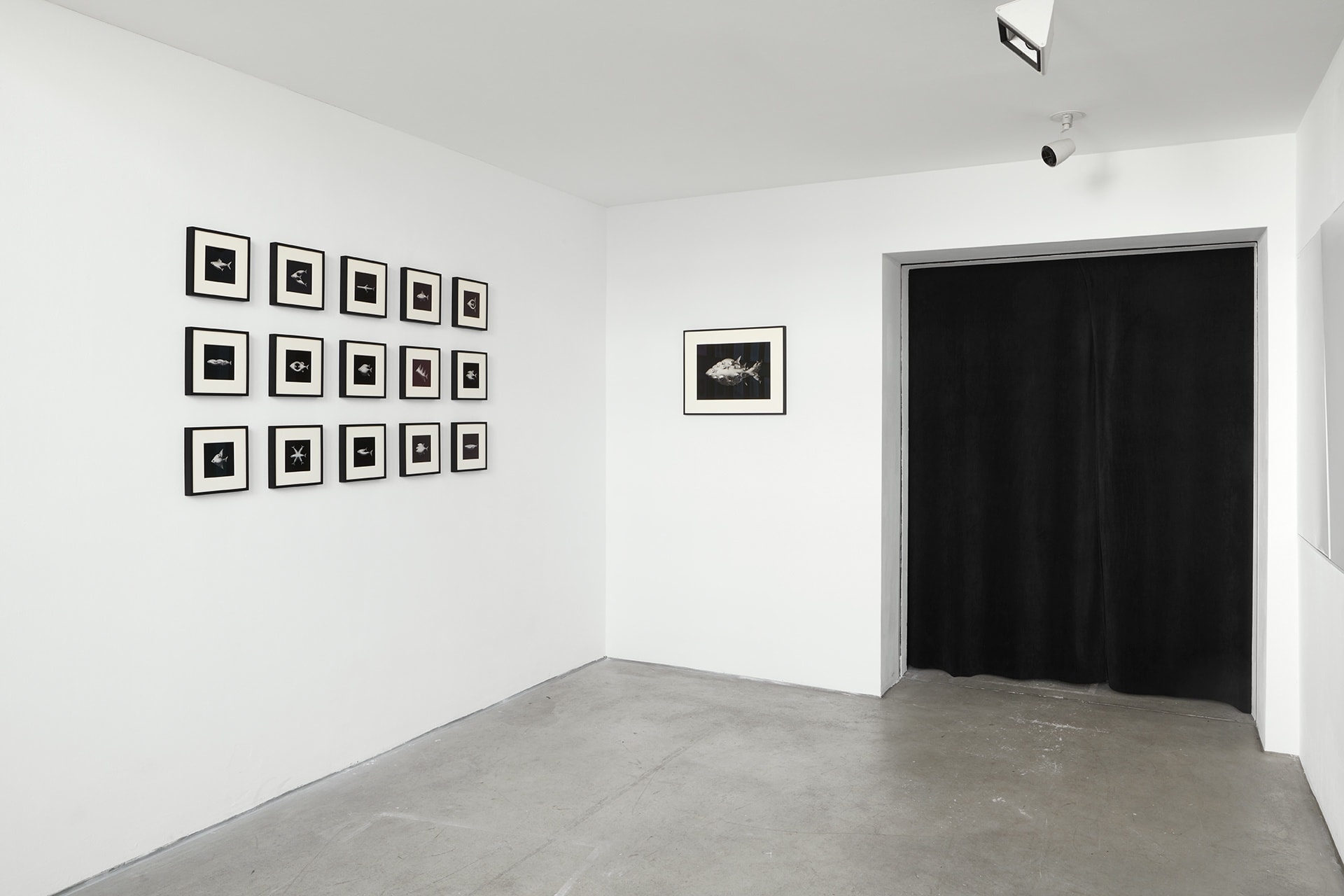 [COLOGNE] SHIFTING MOMENTS