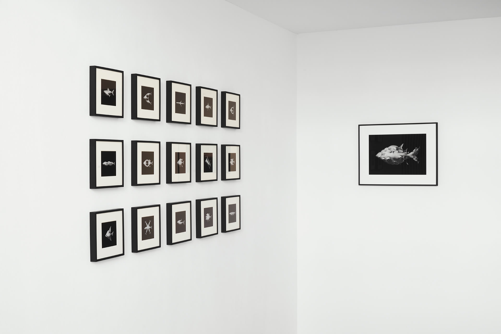 [COLOGNE] SHIFTING MOMENTS