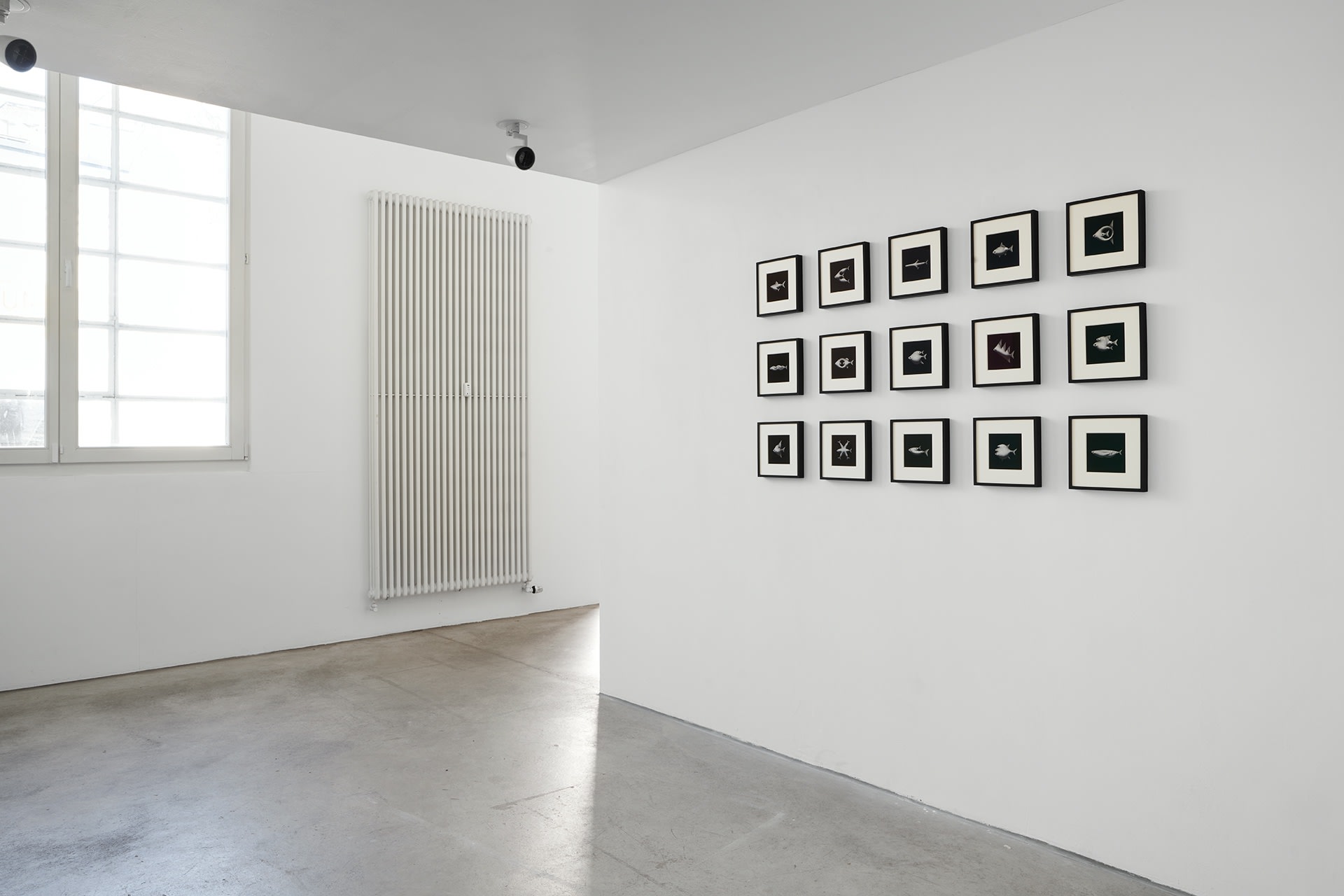 [COLOGNE] SHIFTING MOMENTS