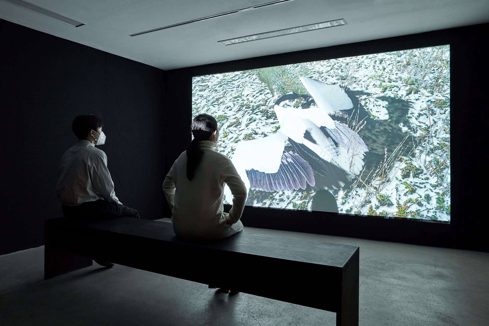 [COLOGNE] SHIFTING MOMENTS