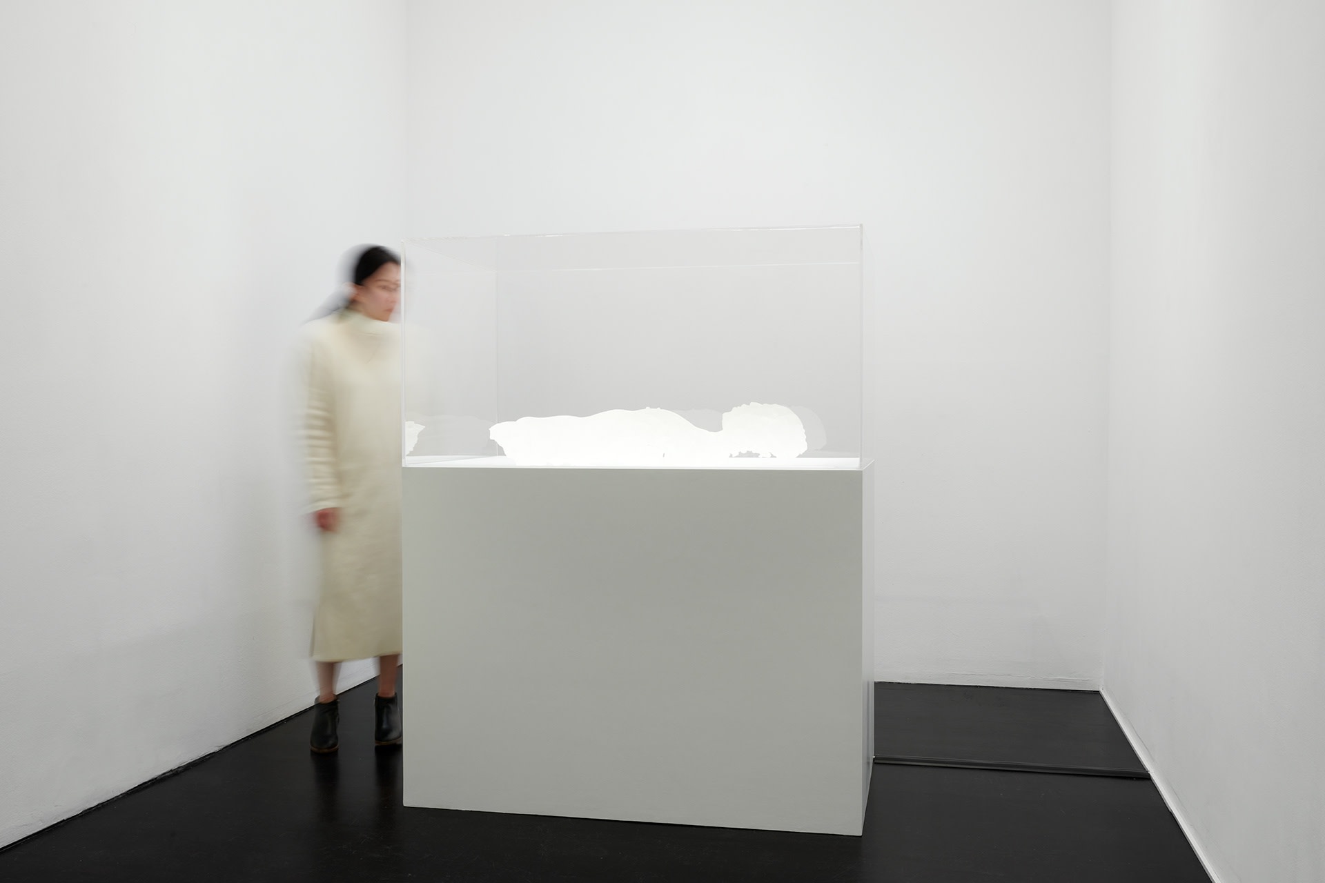 [COLOGNE] SHIFTING MOMENTS