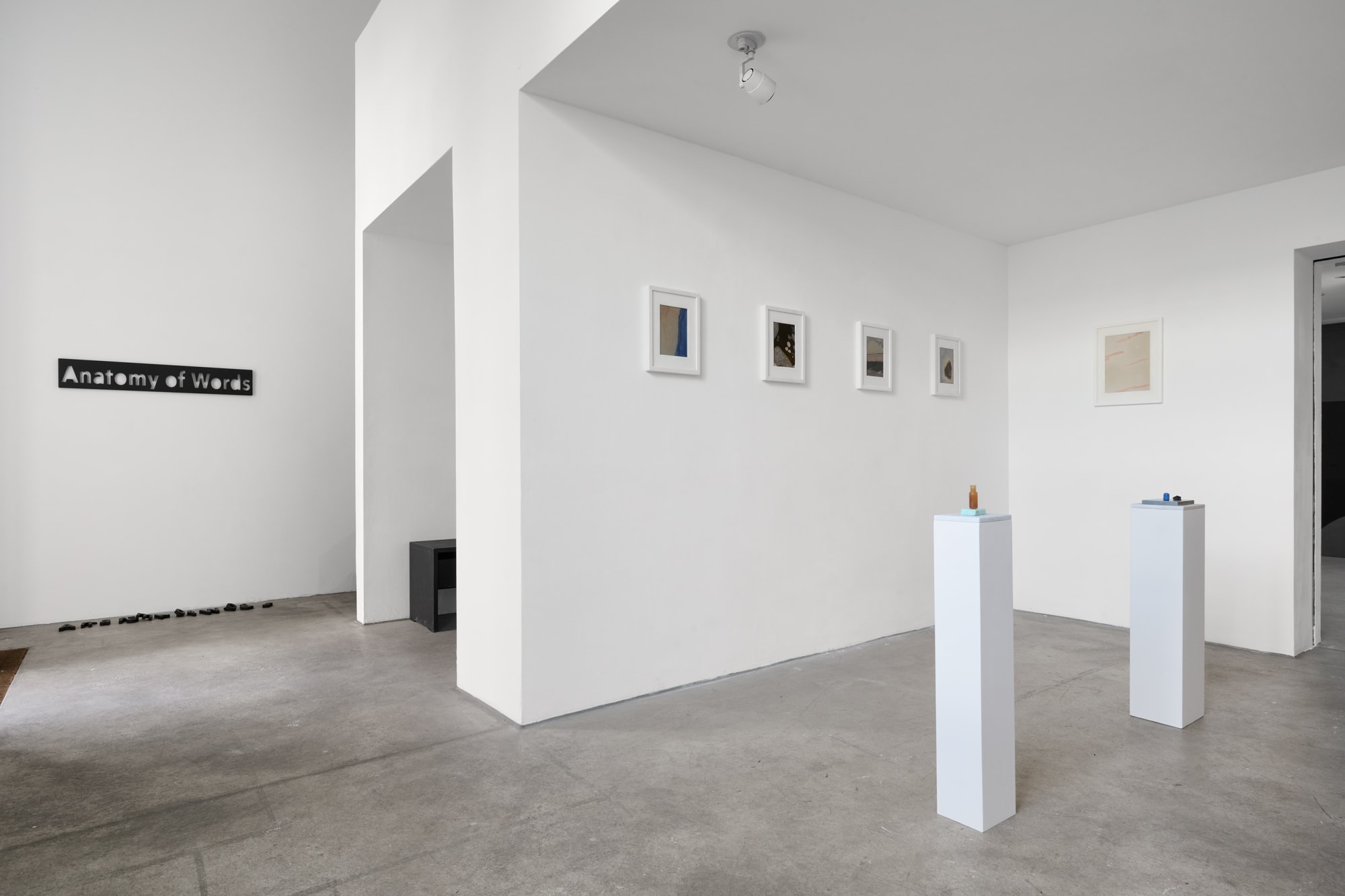 [COLOGNE] Anatomy of Words II