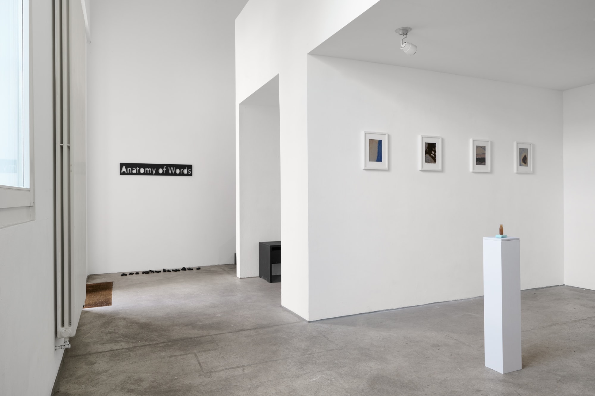 [COLOGNE] Anatomy of Words II