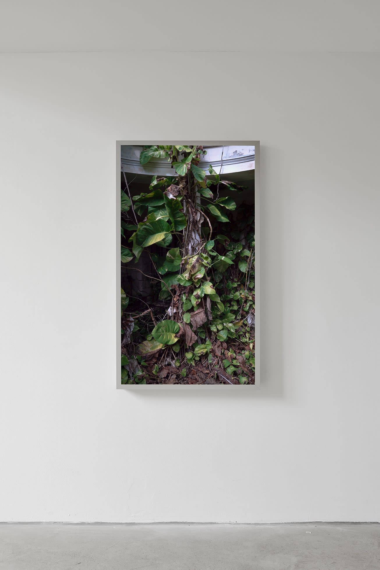 [COLOGNE] SHATTERED GLASS