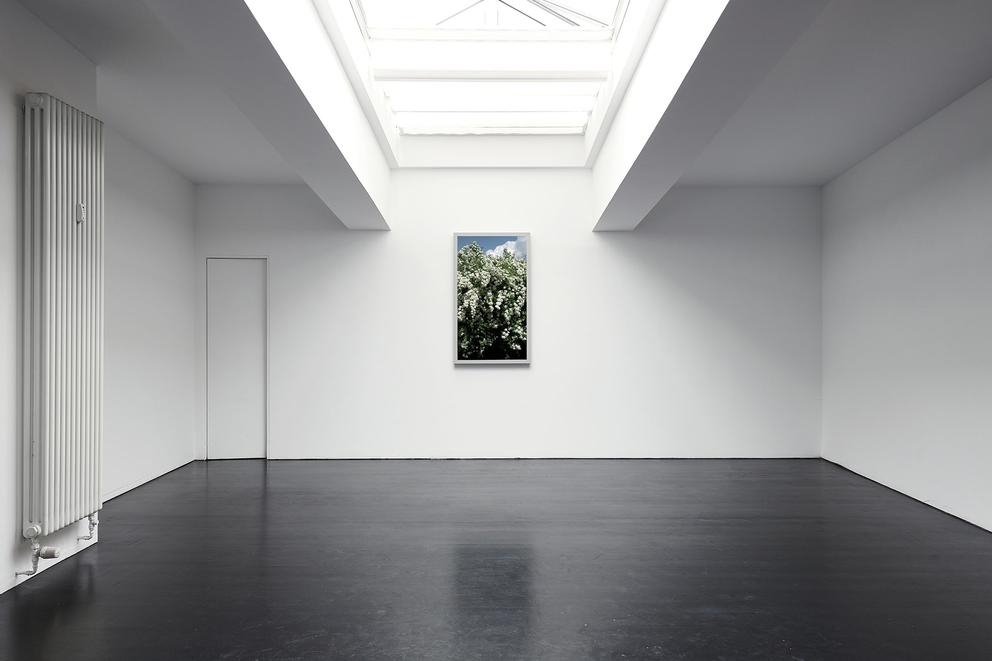 [COLOGNE] SHATTERED GLASS