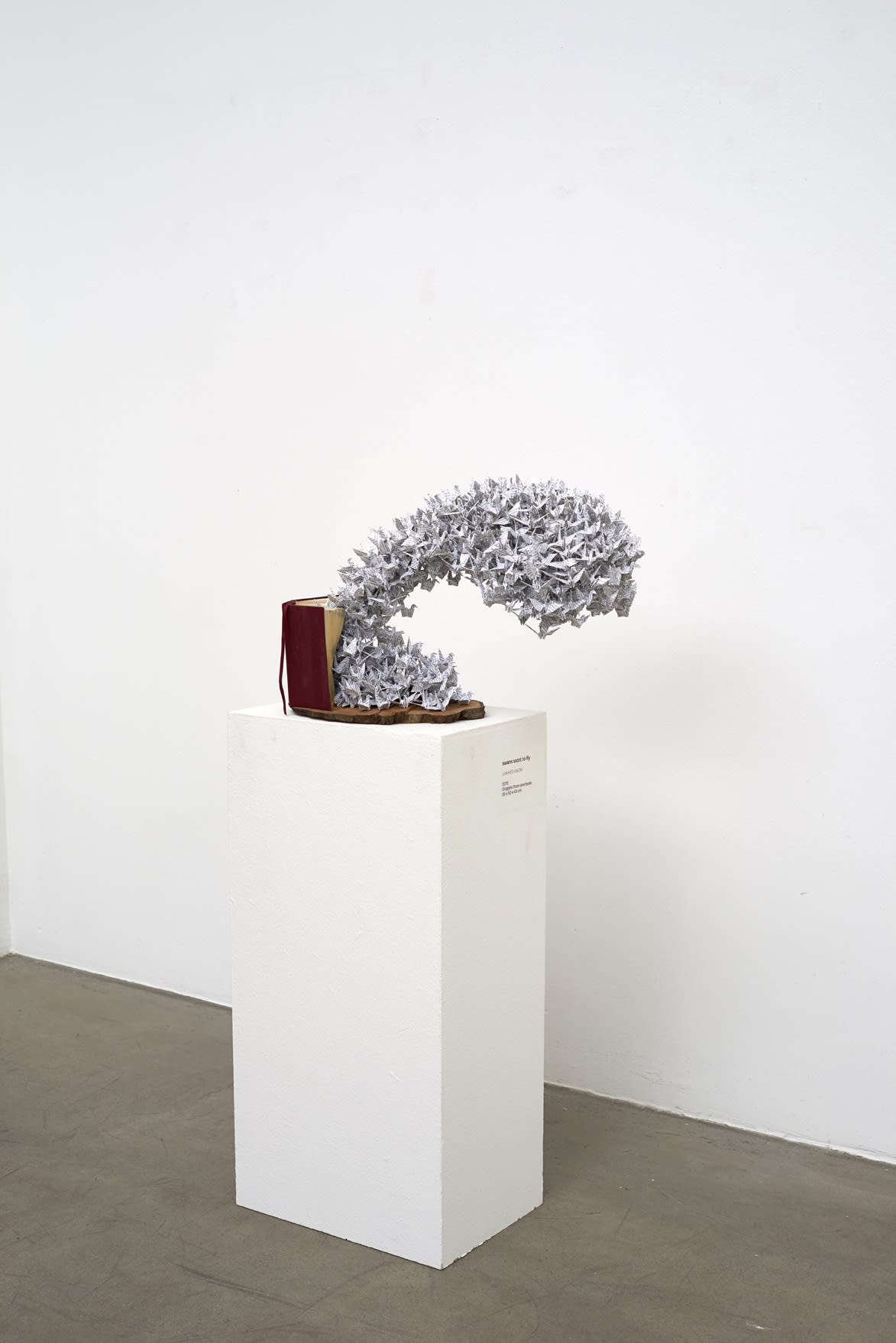 [COLOGNE] HAVE A GOOD DAY, MR.KIM!