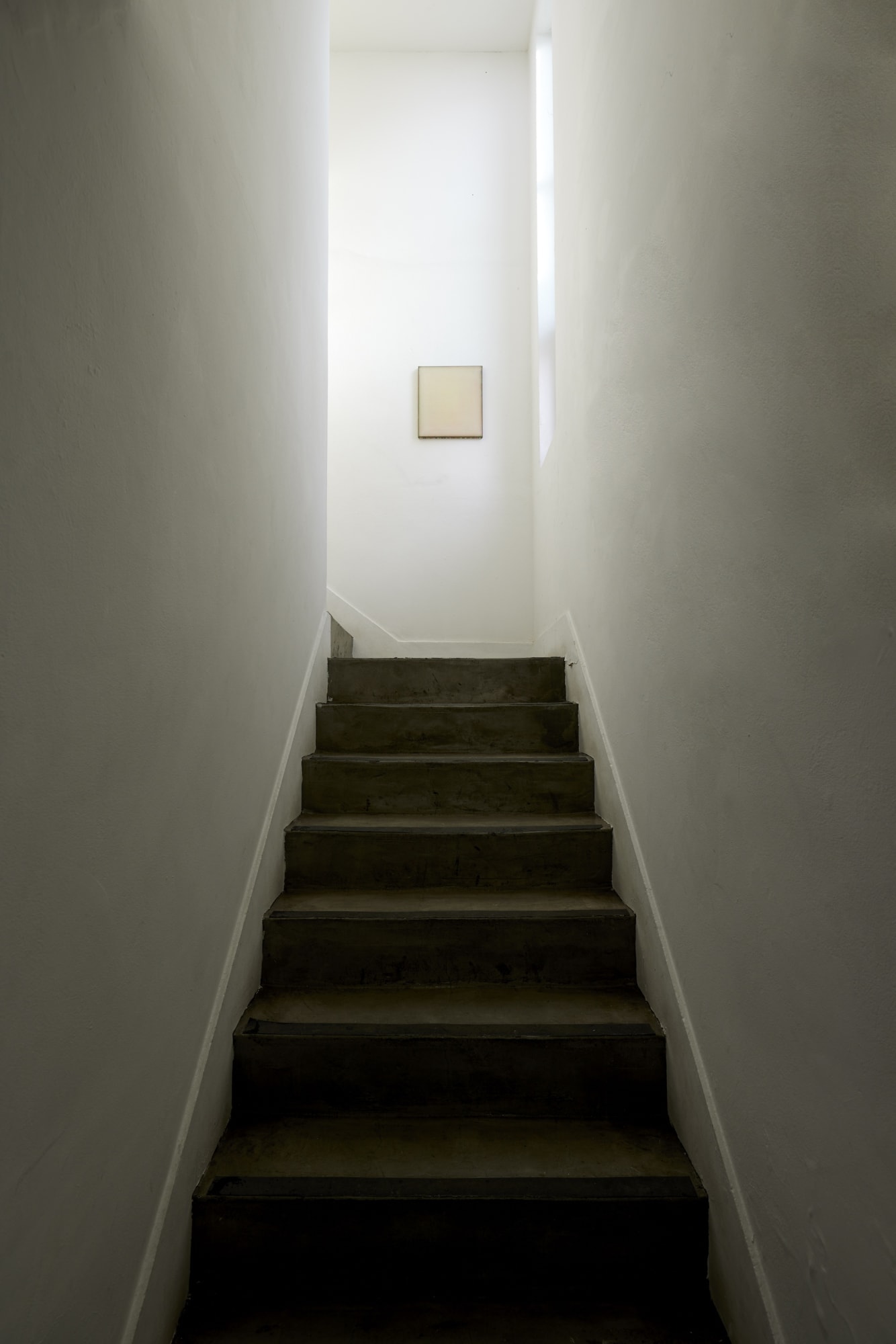 [SEOUL] Why we need to learn the language of plants