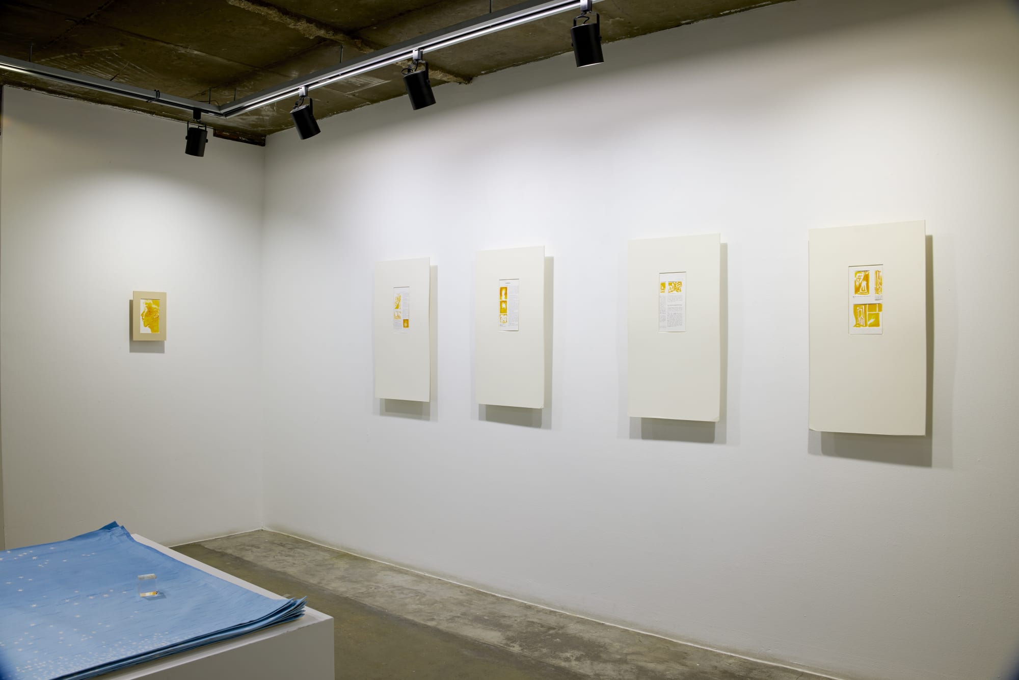 [SEOUL] They, them, and them