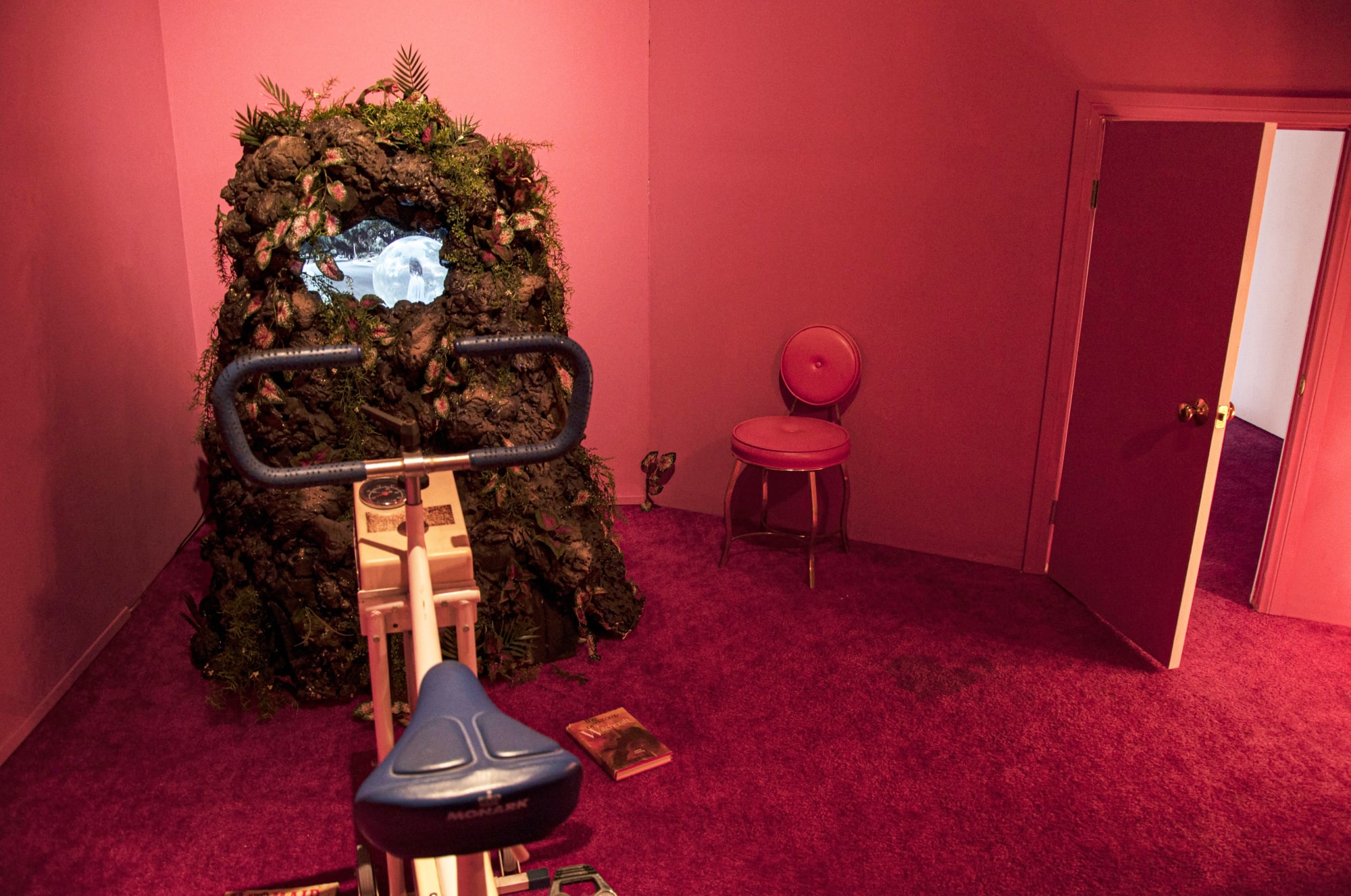 Ariana Papademetropoulos