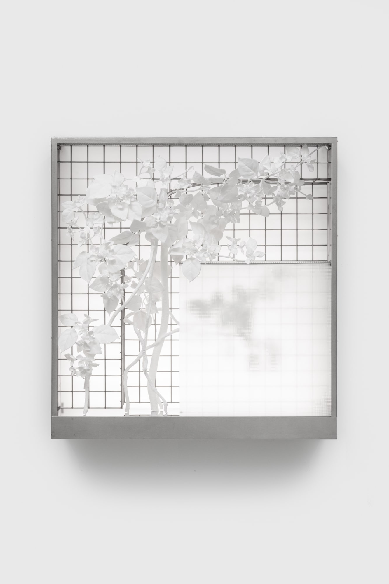 Synchronic Botany: [De] Constructing the Hyperreal