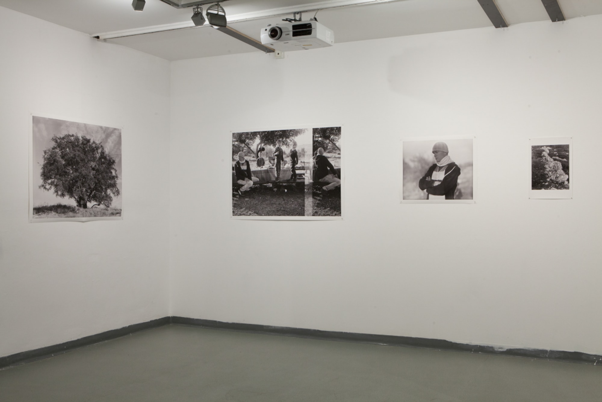 installation view