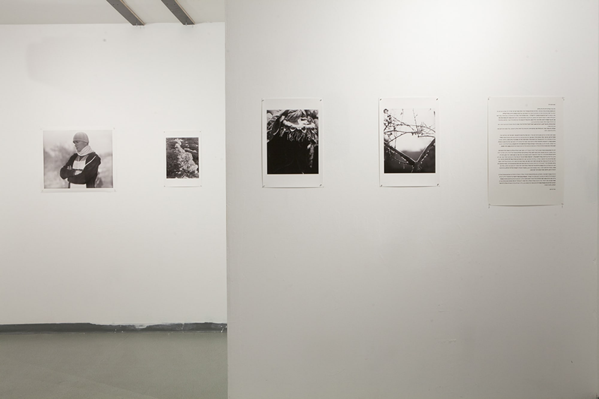 installation view