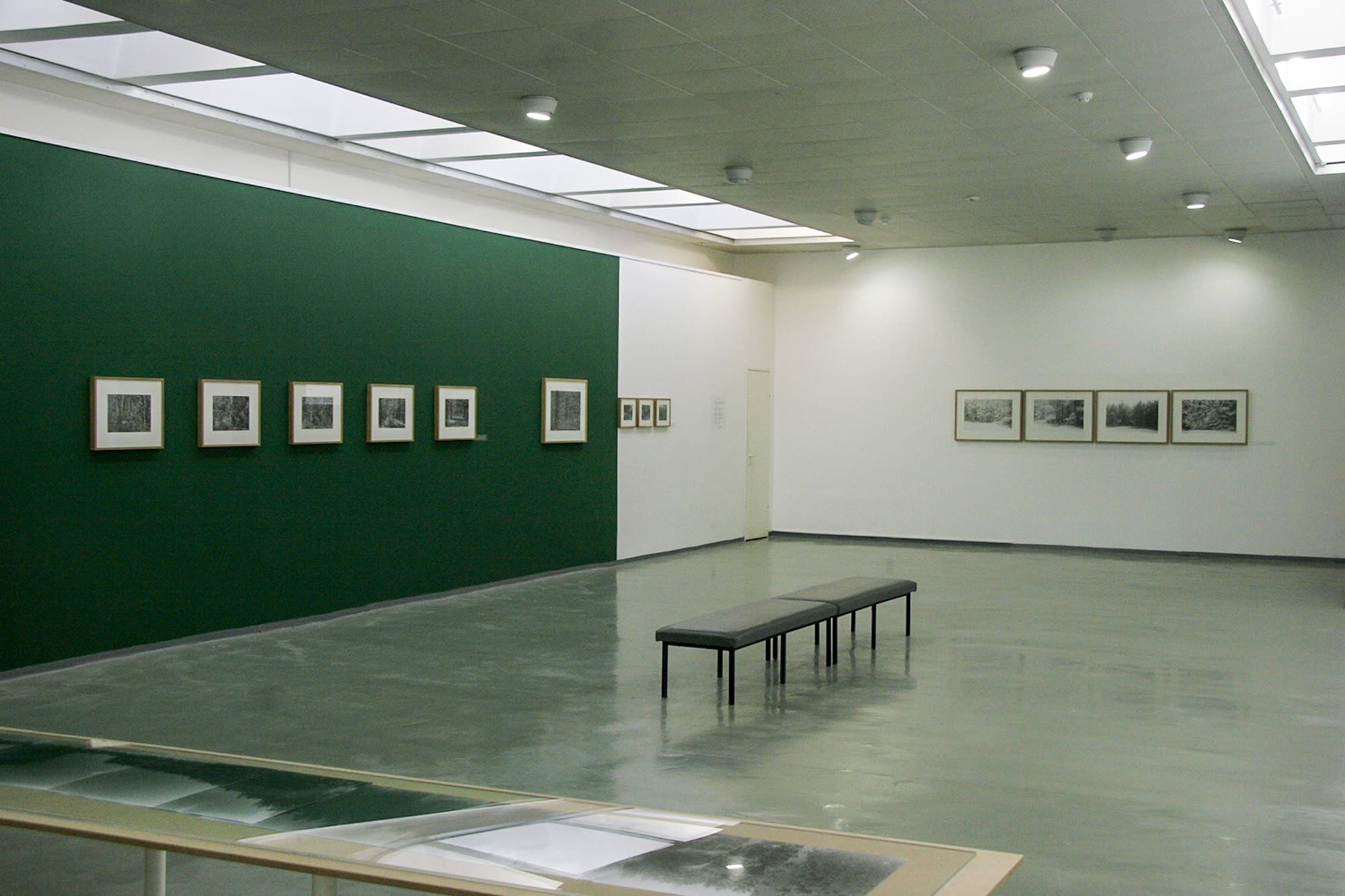 Black and White Forest: Two Journeys to Treblinka (offline)