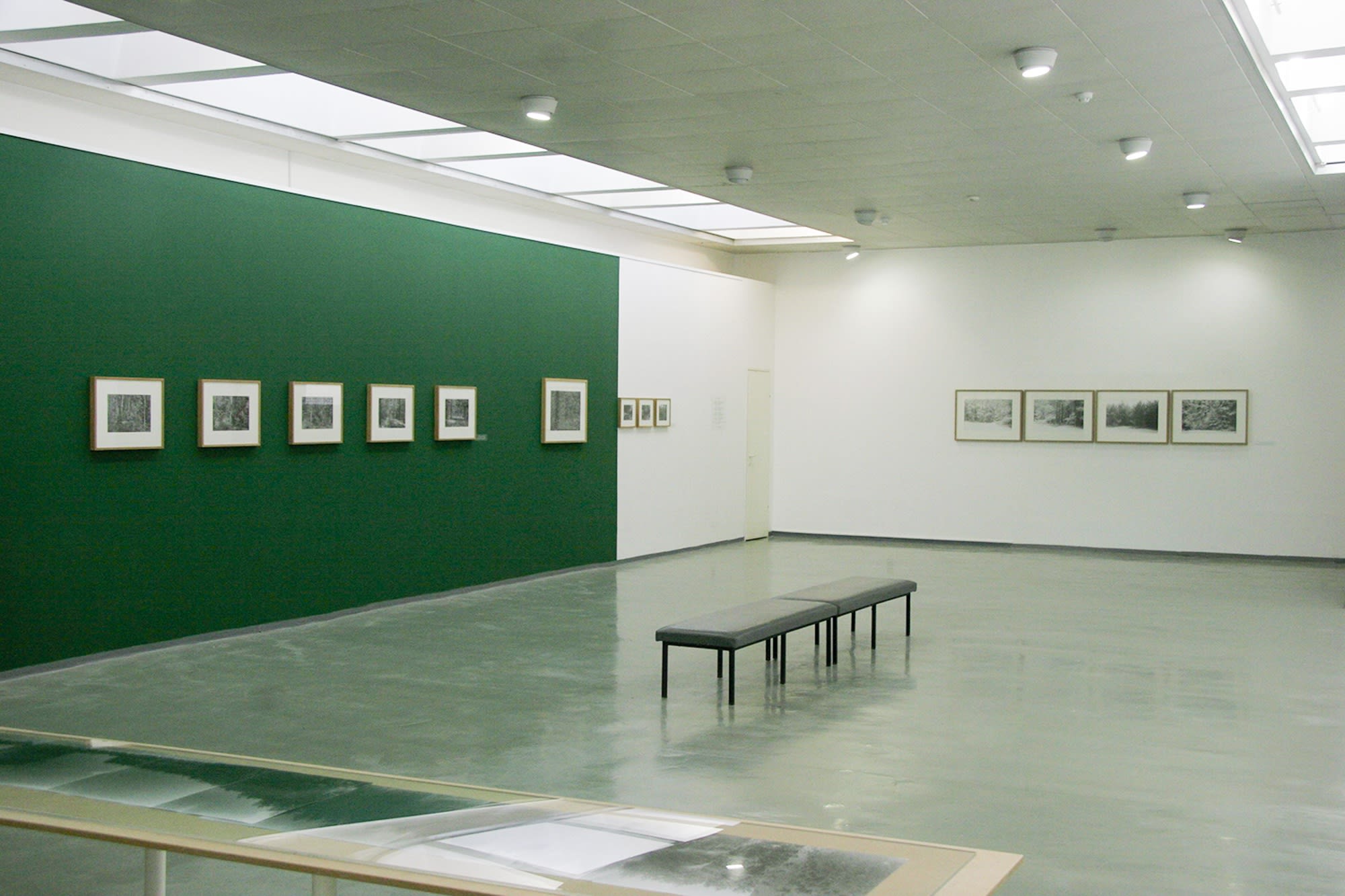 Black and White Forest: Two Journeys to Treblinka