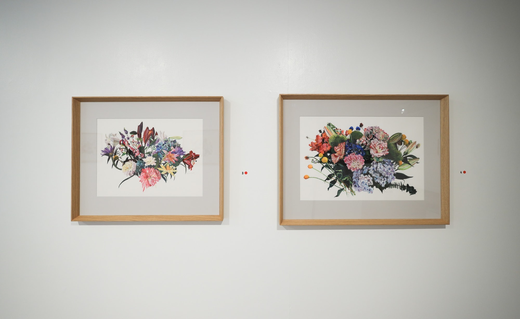 Pamela Wolfe exhibition titled 'Transplant'