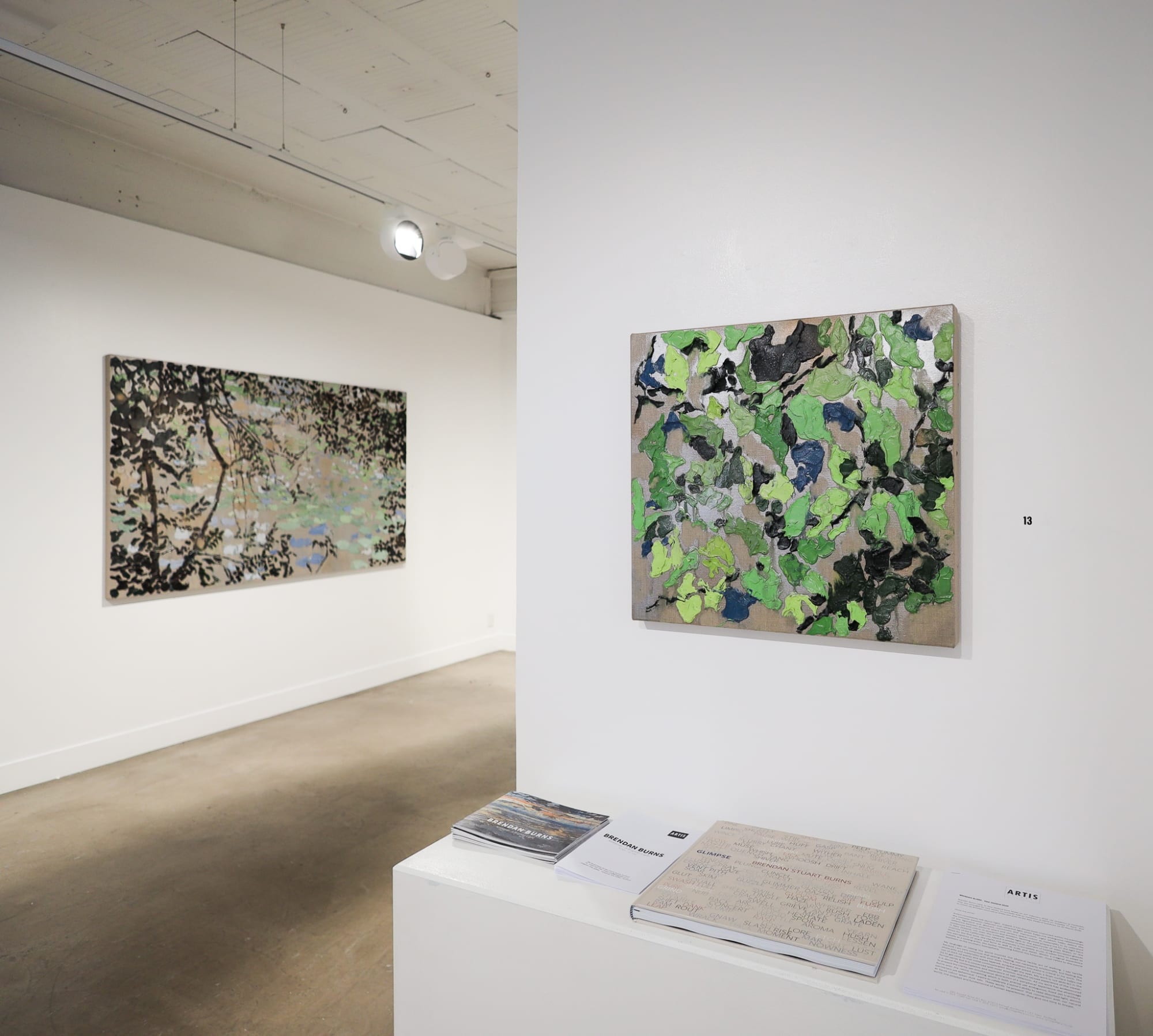 Brendan Burns exhibition titled 'Aotearoa - A Brighter Light'