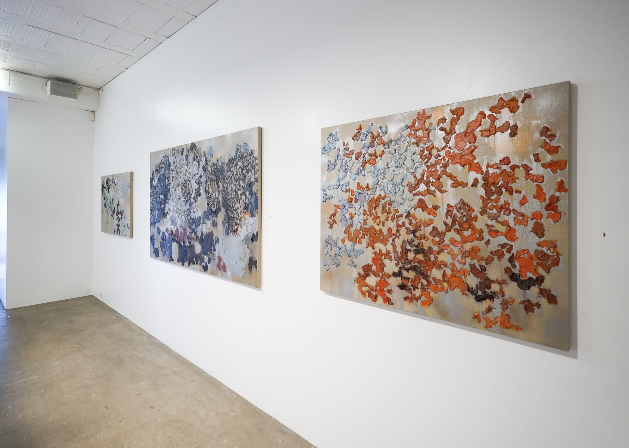 Brendan Burns exhibition titled 'Aotearoa - A Brighter Light'