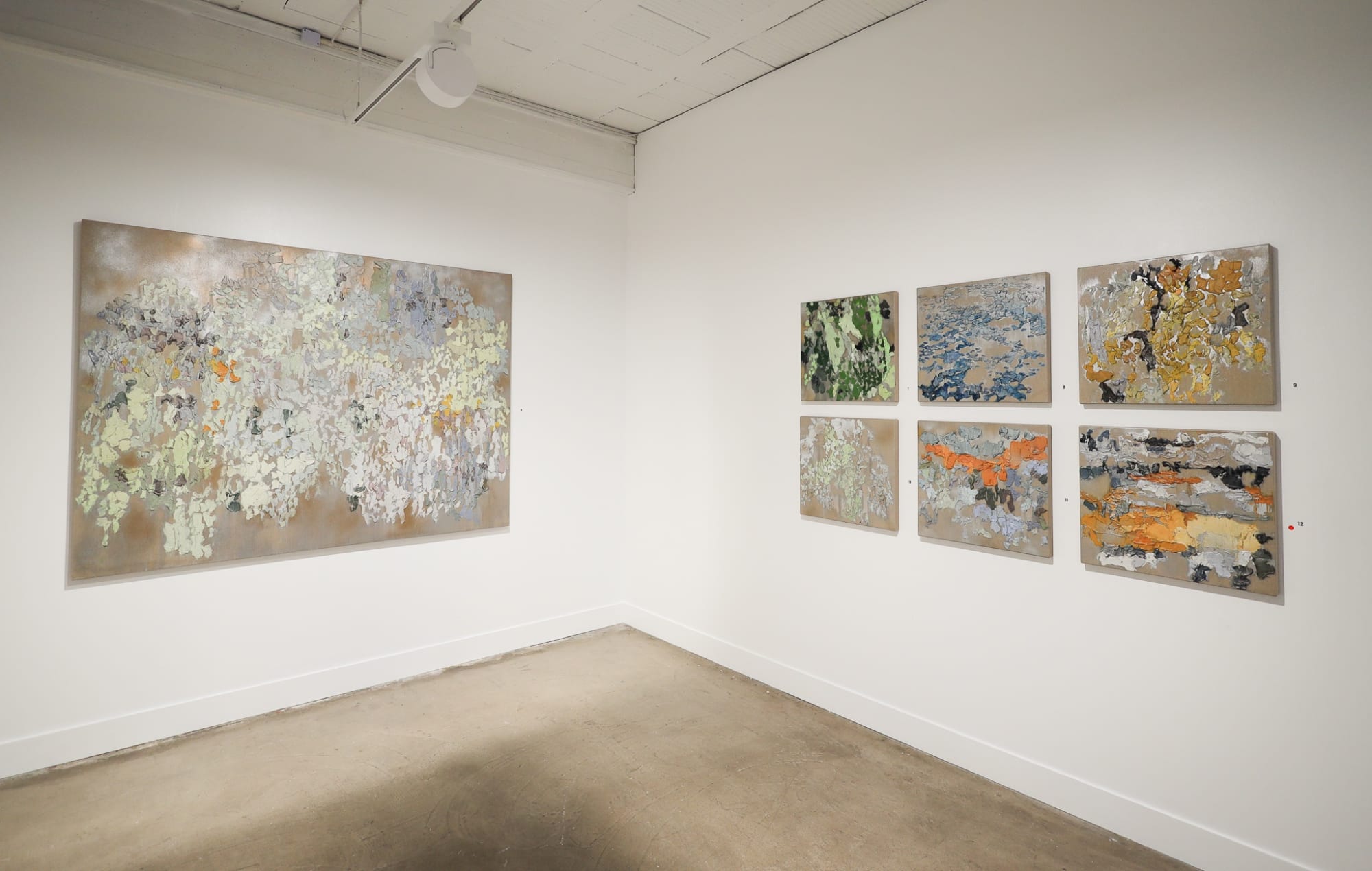 Brendan Burns exhibition titled 'Aotearoa - A Brighter Light'