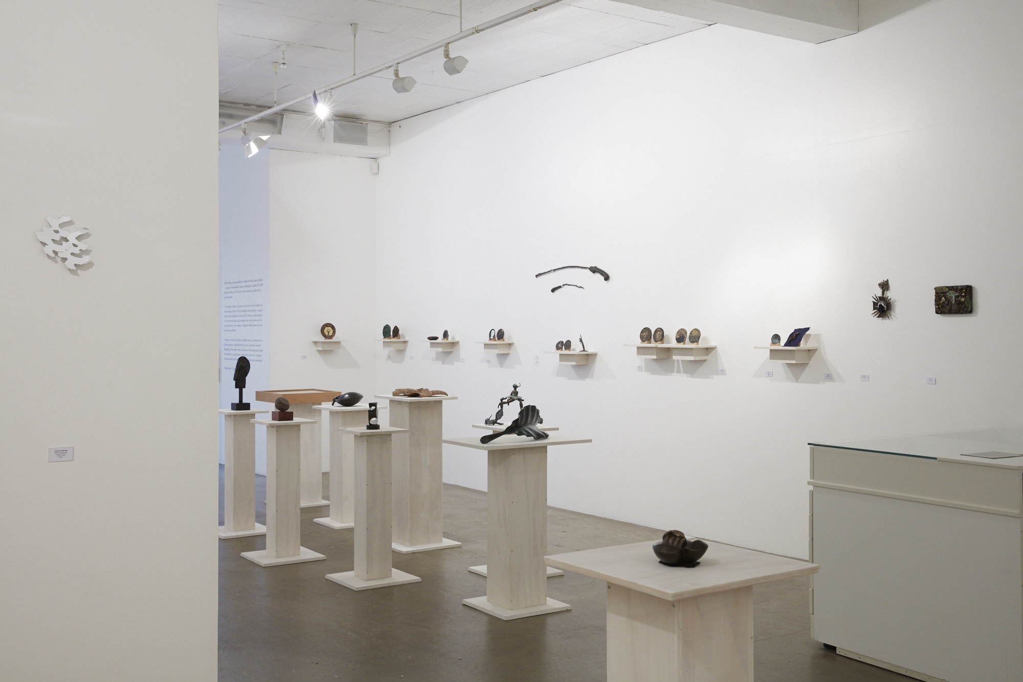 MANZ Exhibition titled 'About Face'