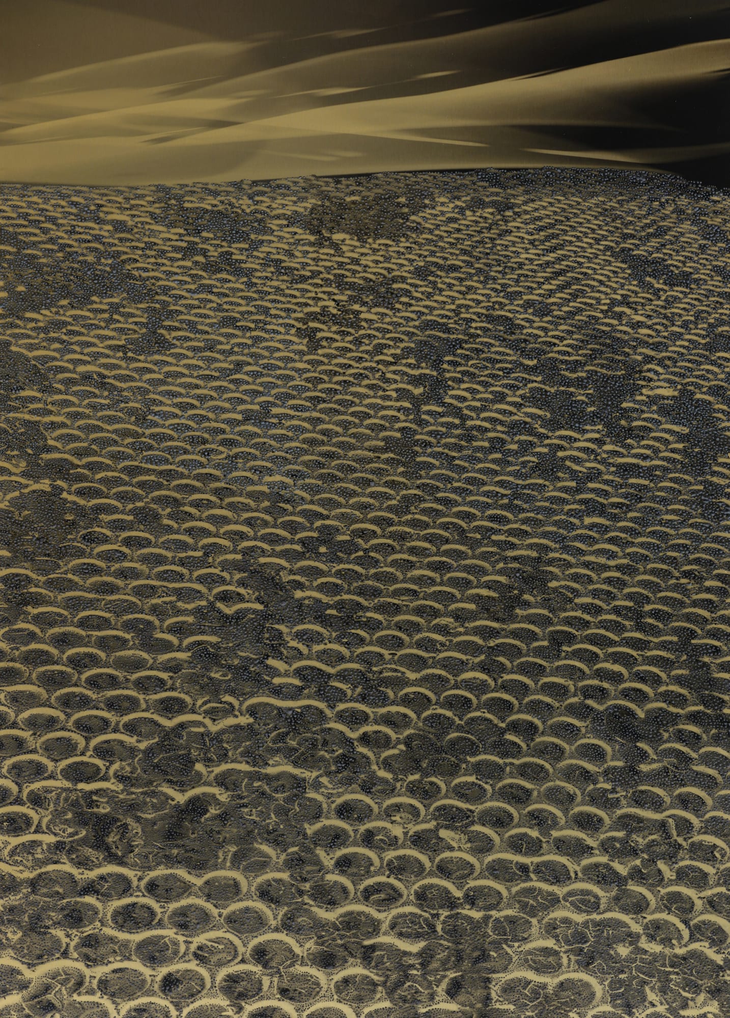 Peter Panyoczki, Hotbed, 2021