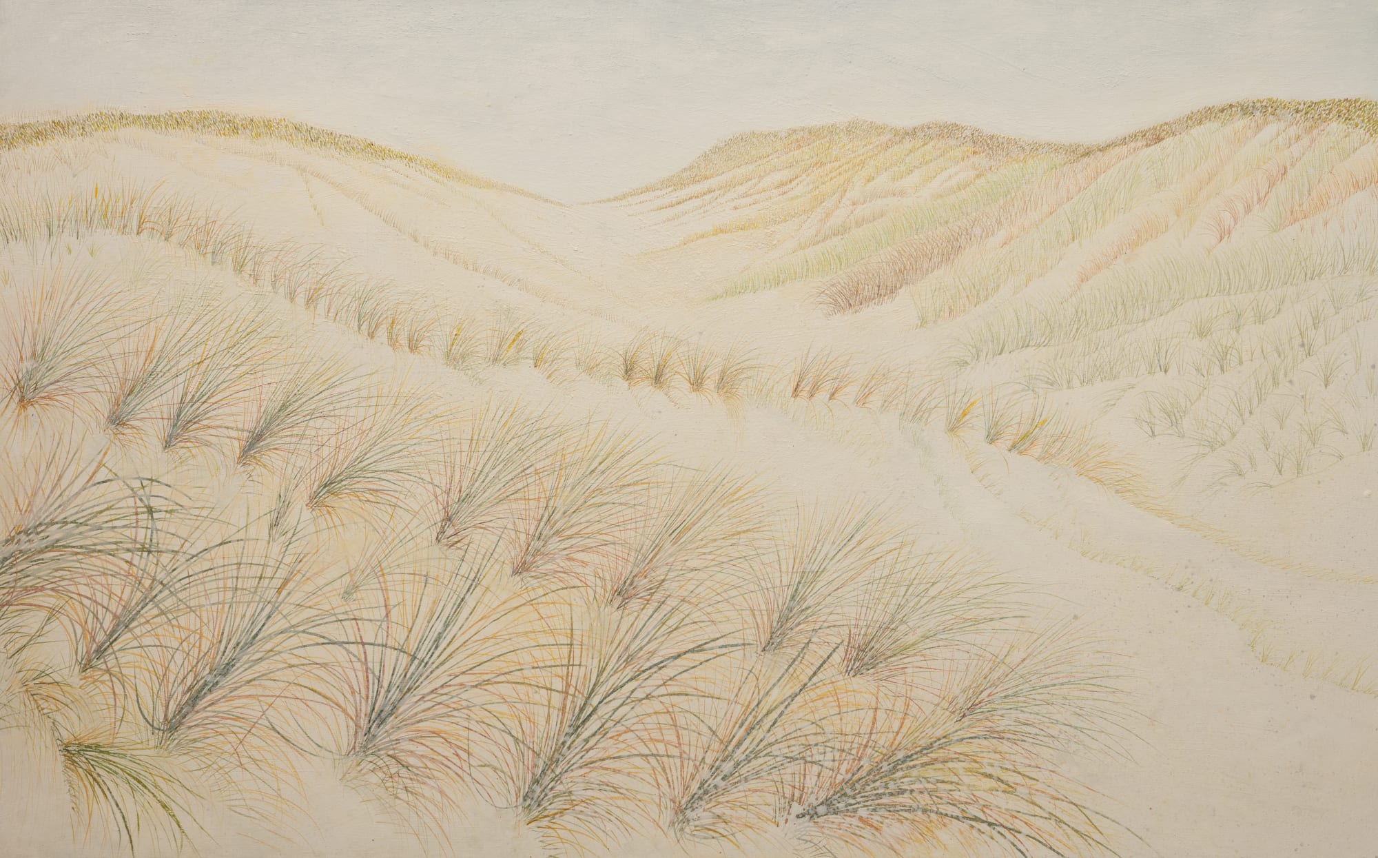 Aroha Gossage, Pakiri Dunes, 2024