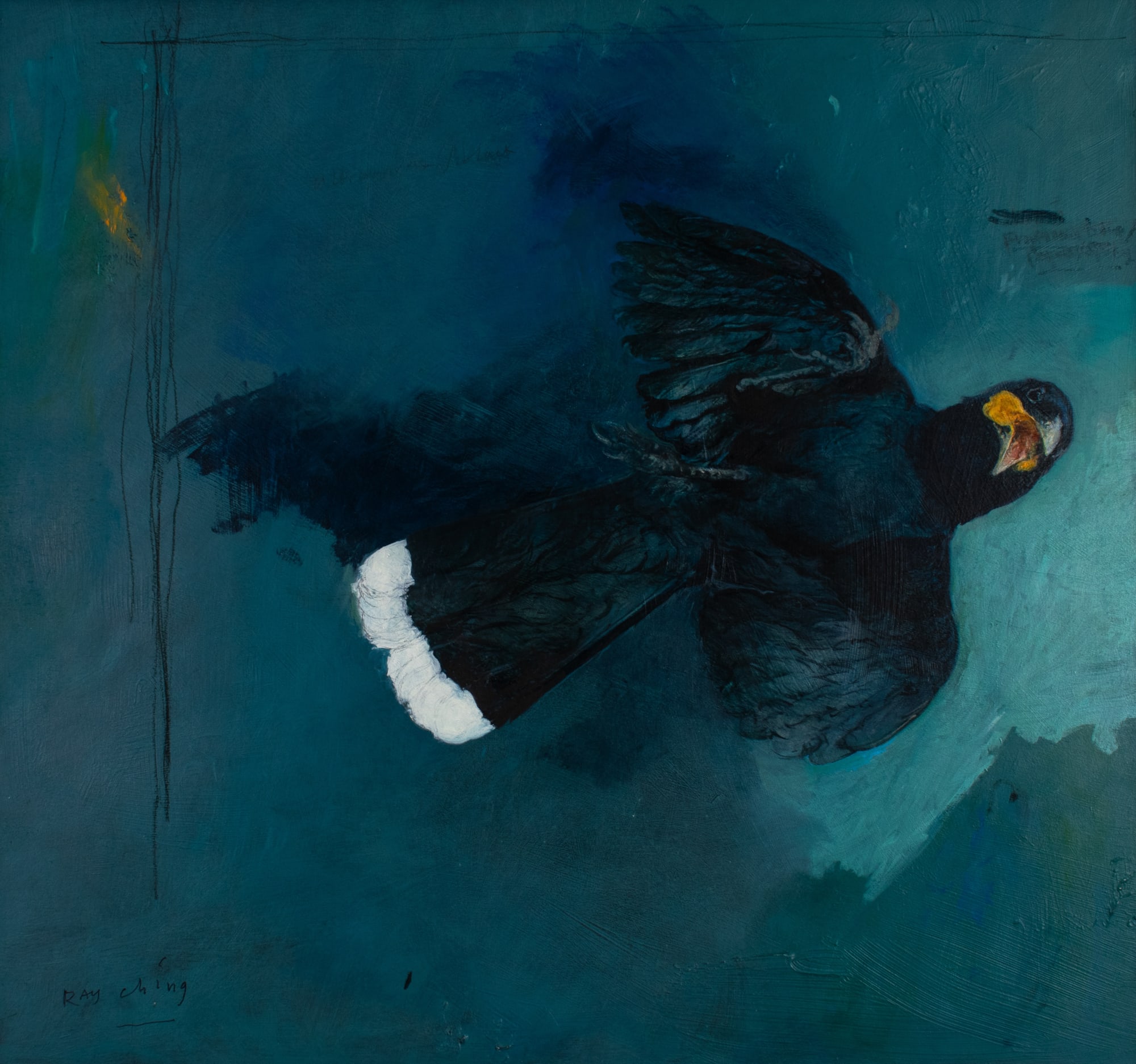 Ray Ching, Huia Study, Male, 2021